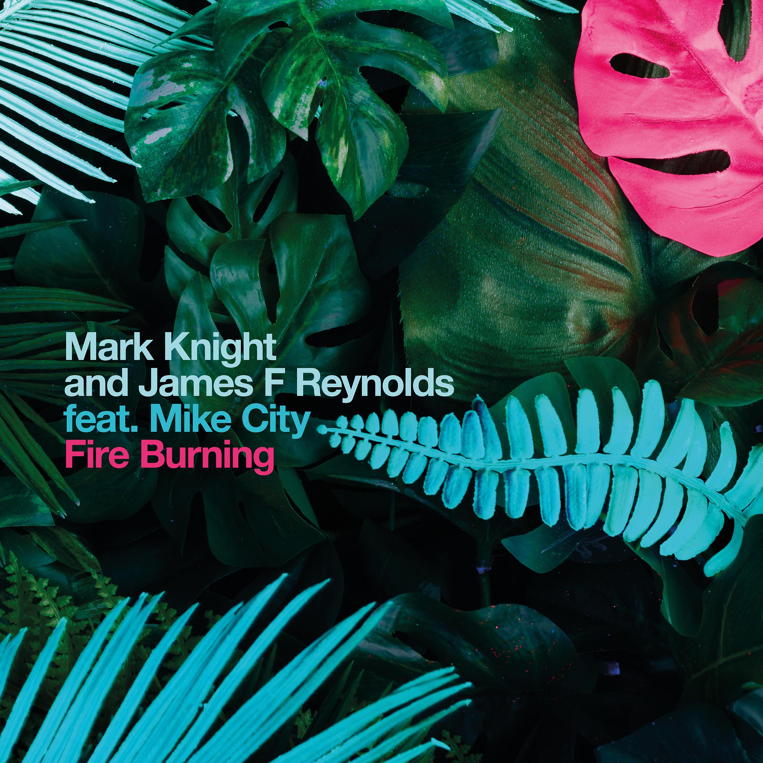 Постер альбома Fire Burning