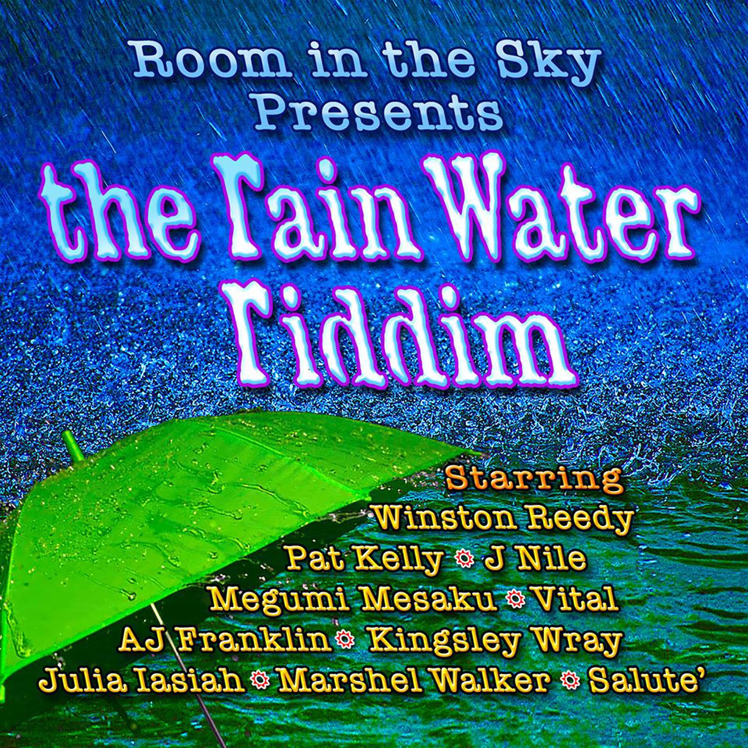 Постер альбома The Rain Water Riddim