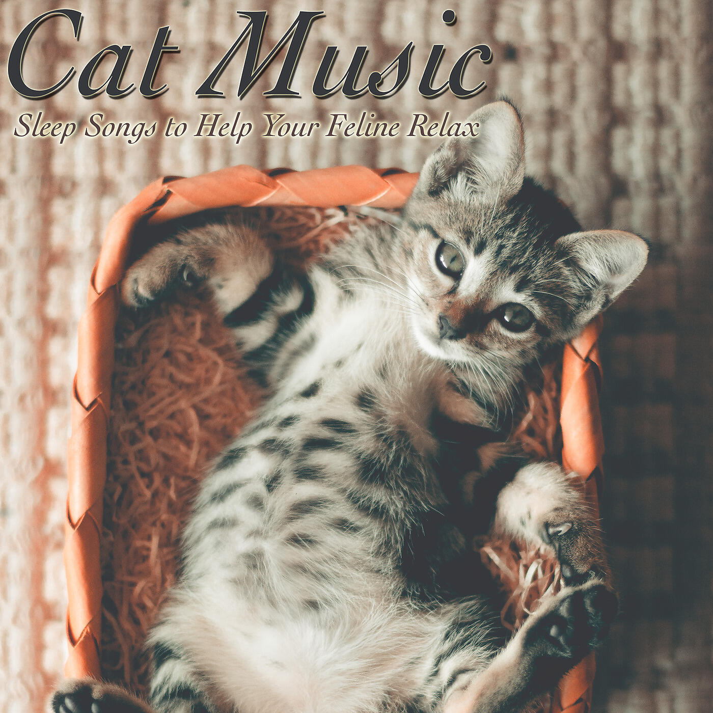 RelaxMyCat - Sweet Dreams