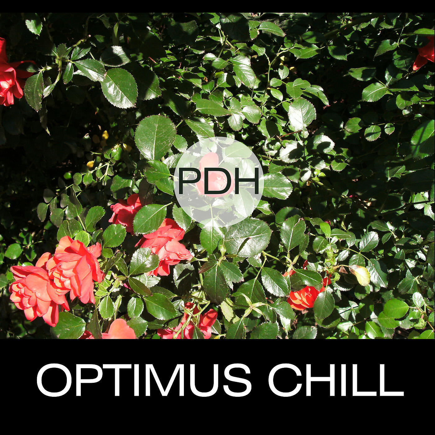 P.D.H. - 7th Day Rest, Pt. 3