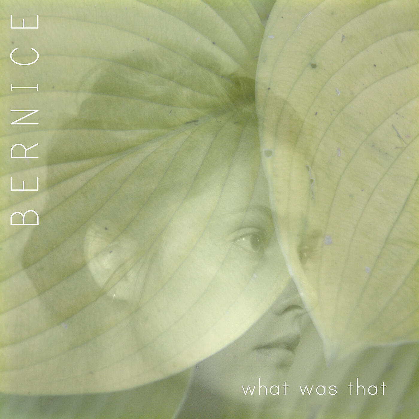 Bernice - New Bodies