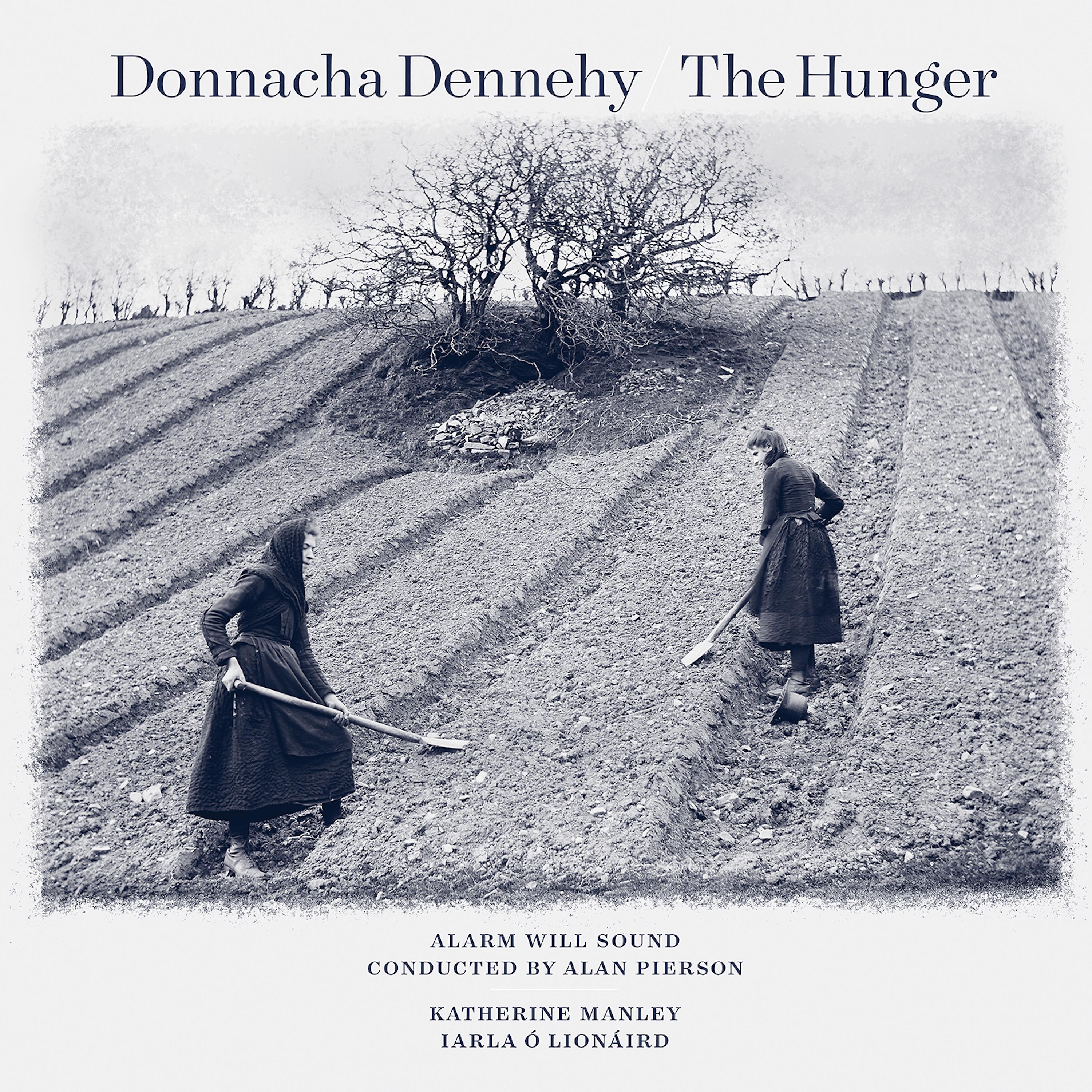 Постер альбома Donnacha Dennehy: The Hunger - Black Potatoes