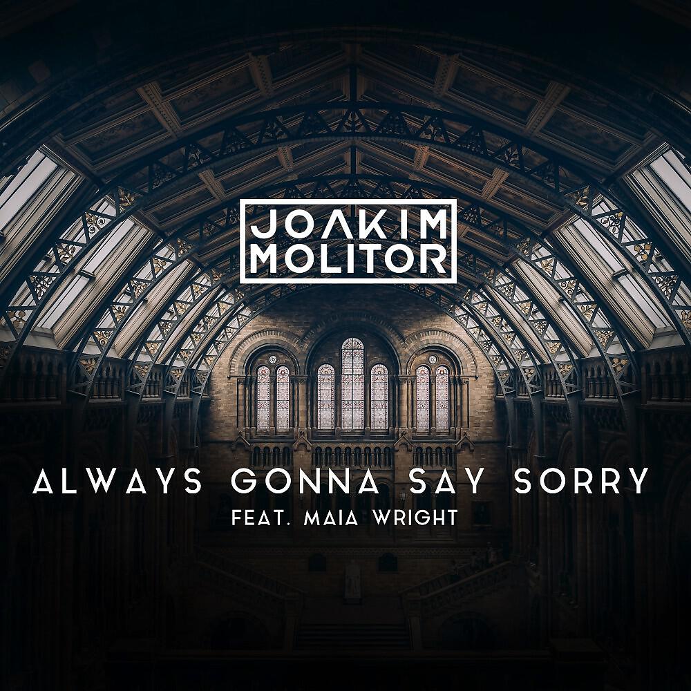 Joakim Molitor - Always Gonna Say Sorry (Acoustic Version)