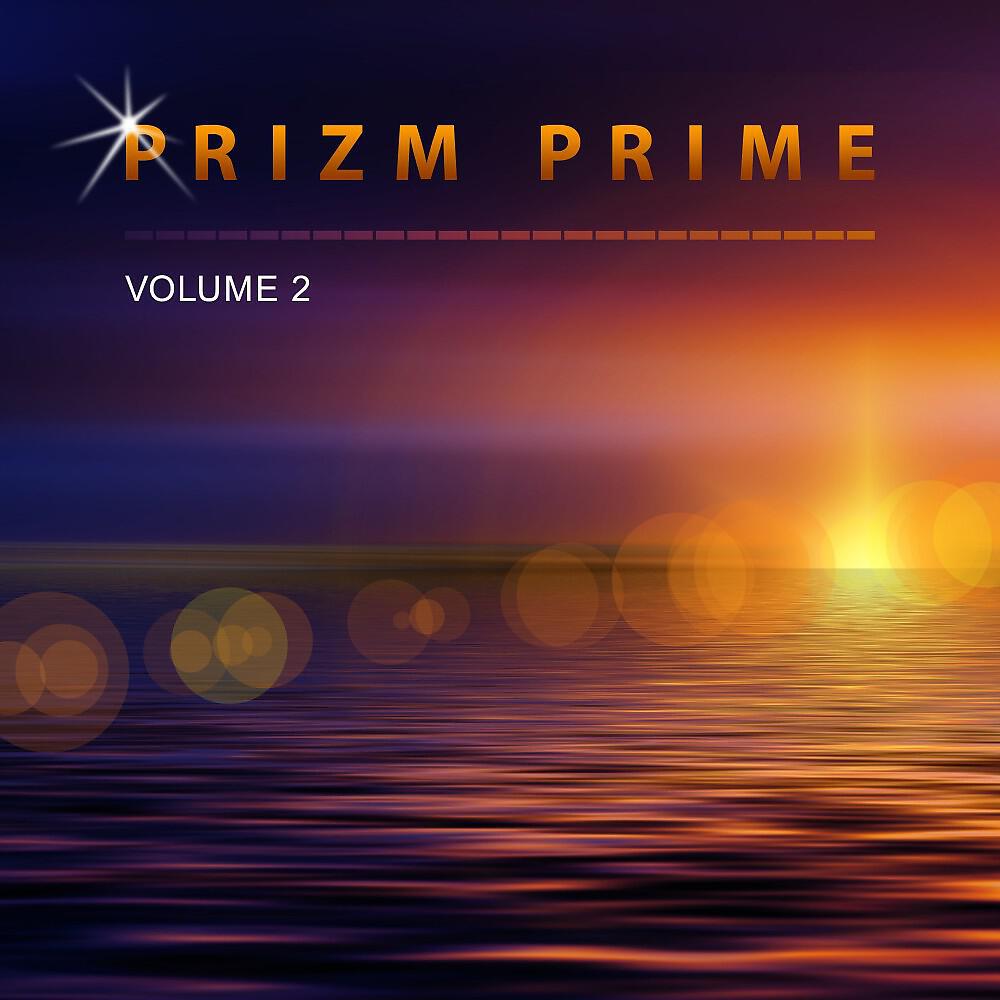 Prizm Prime - Investigation Unfolding