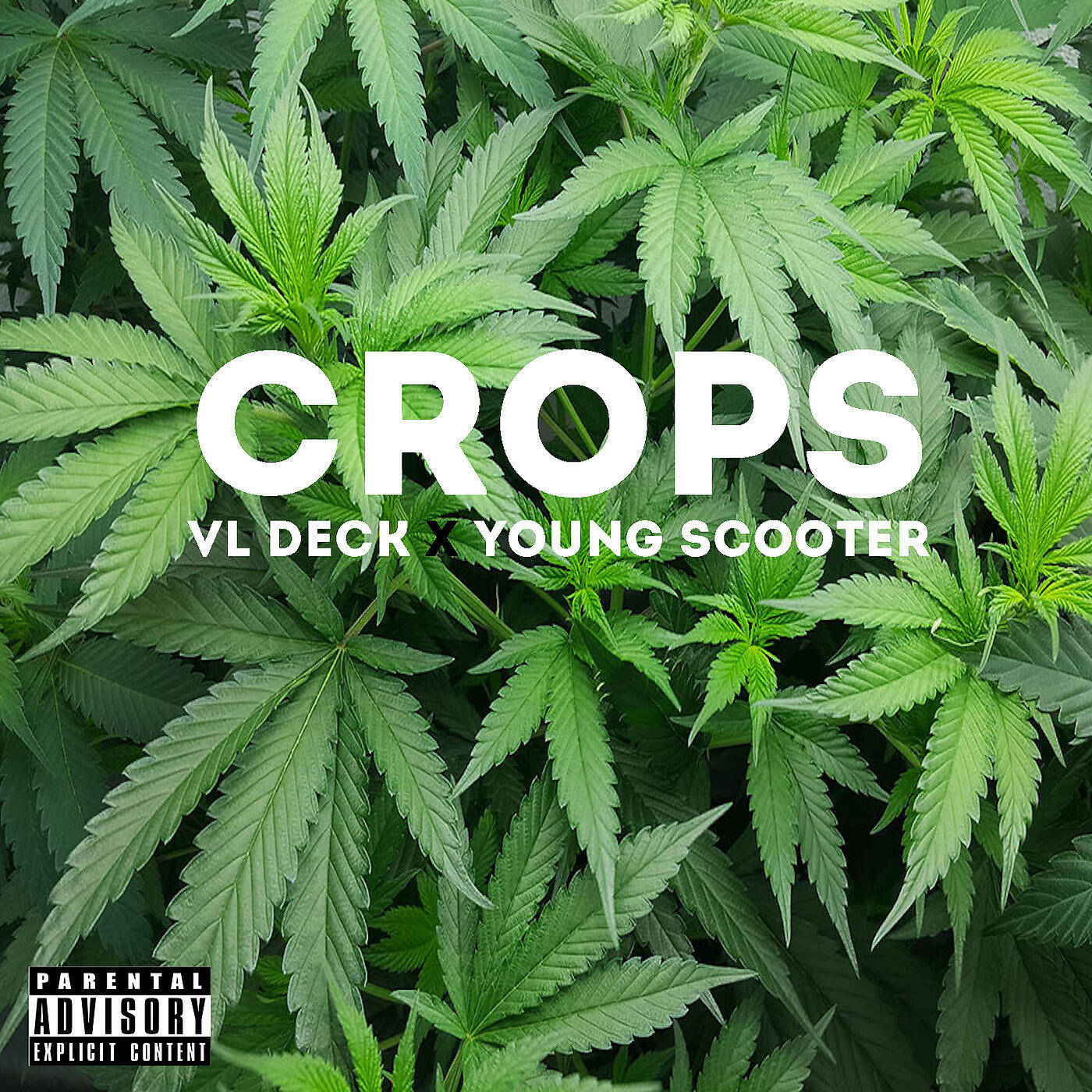 VL Deck - Crops