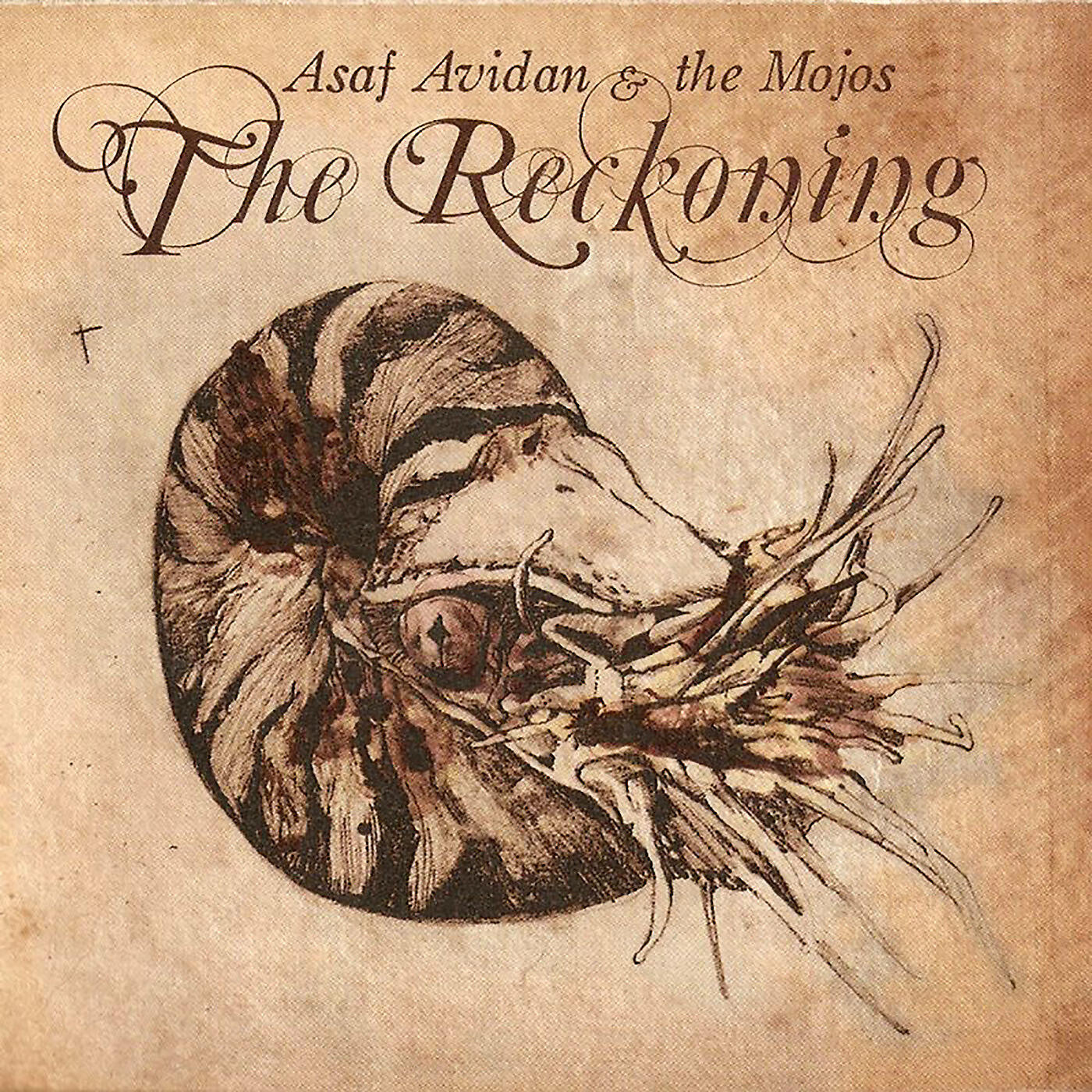 Asaf Avidan & The Mojos - Her Lies