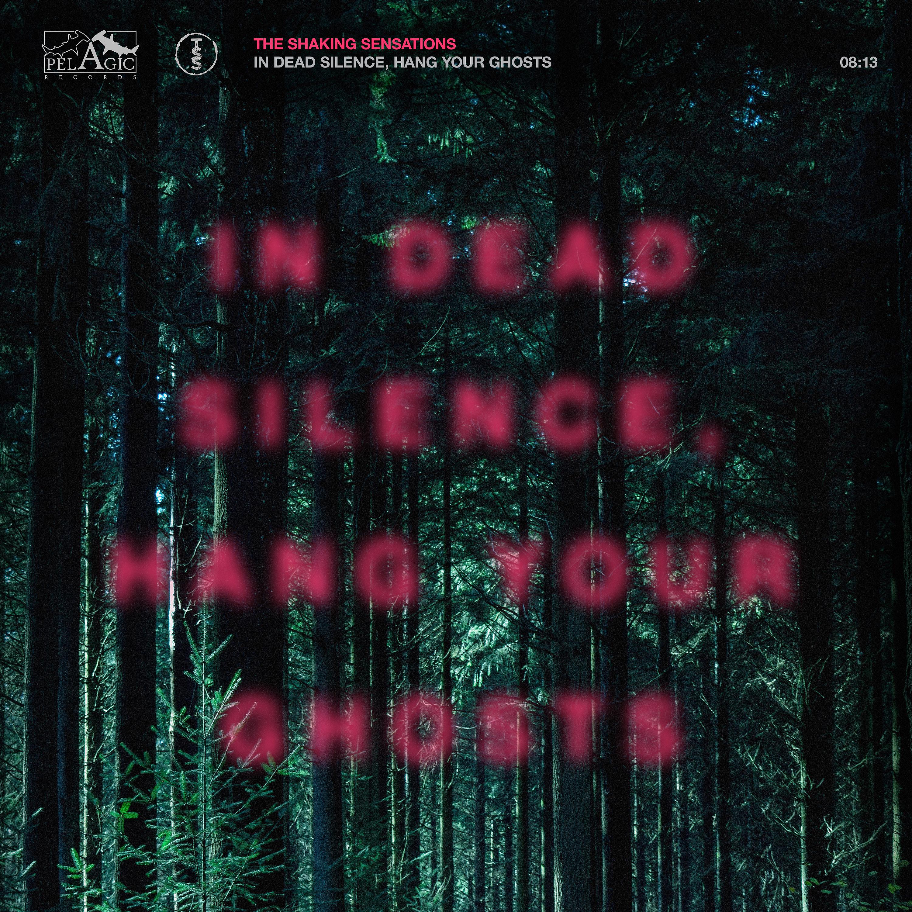 Постер альбома In Dead Silence, Hang Your Ghosts