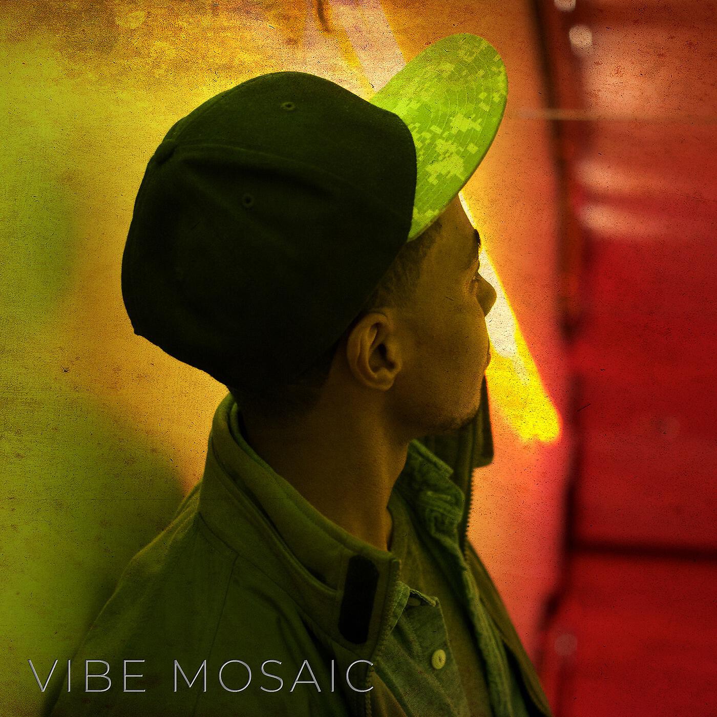 Vibe Mosaic - Why (feat. Mari Qm)
