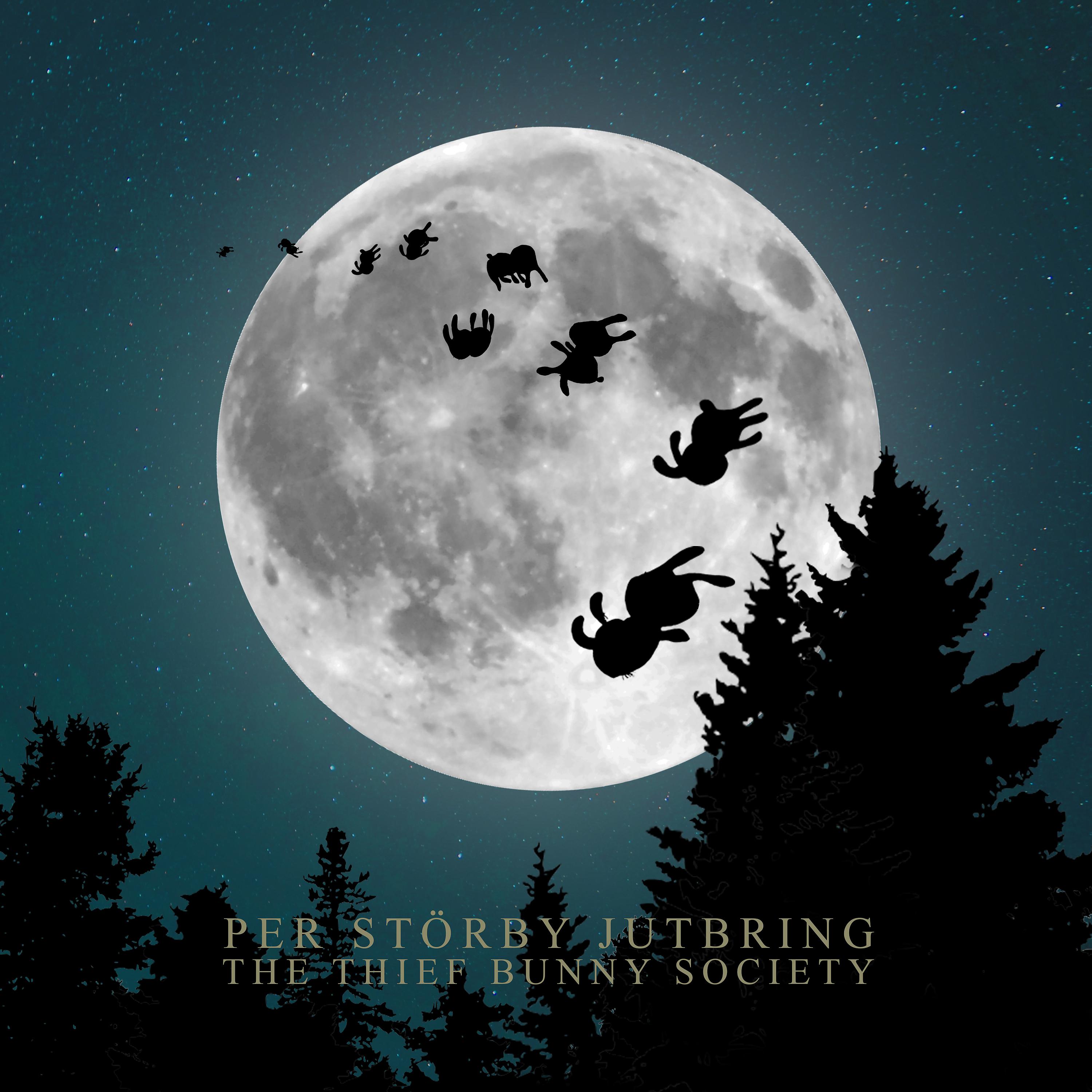 Постер альбома The Thief Bunny Society