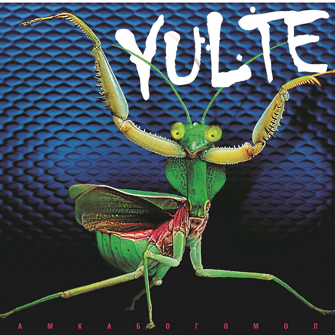 YULTE - Та осень (Дд)