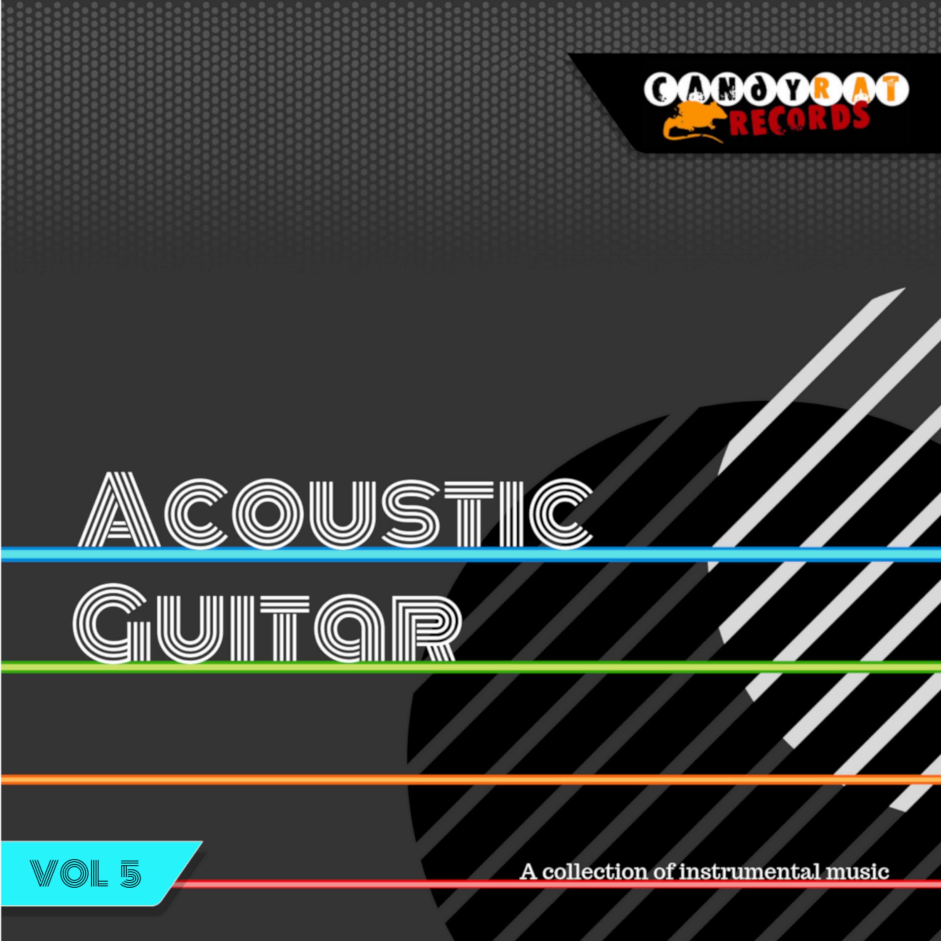 Постер альбома Acoustic Guitar Vol. 5