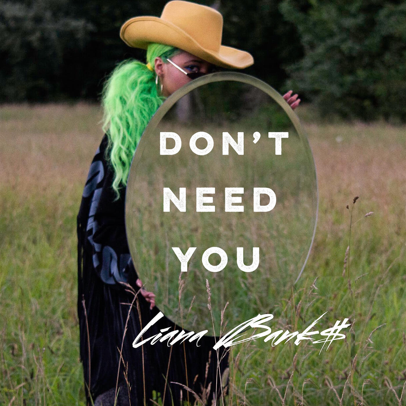 Liana Banks - Don't Need You