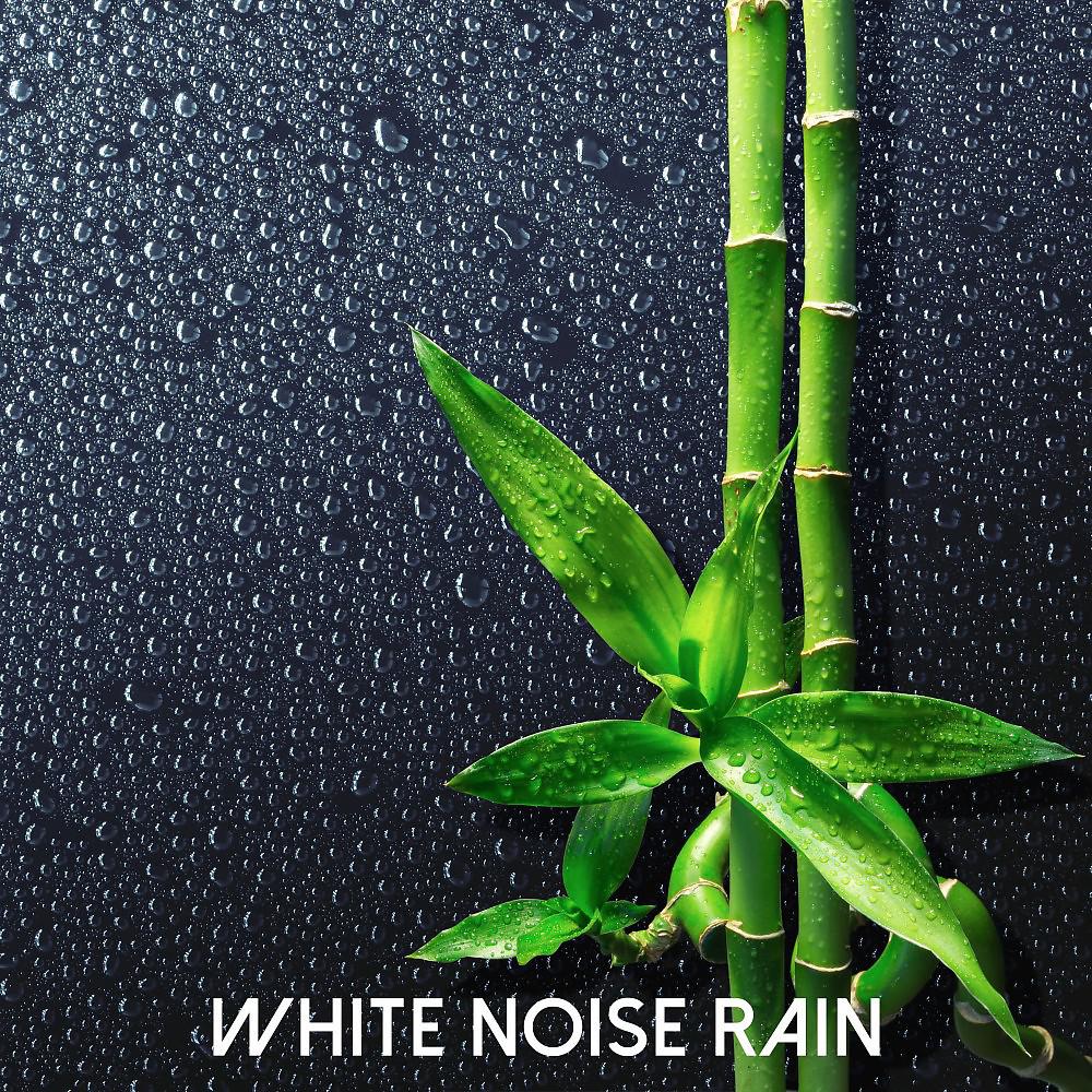 Постер альбома White Noise Rain