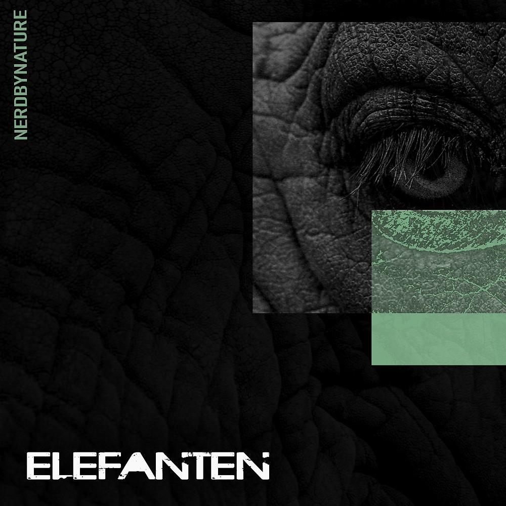 Постер альбома Elefanten