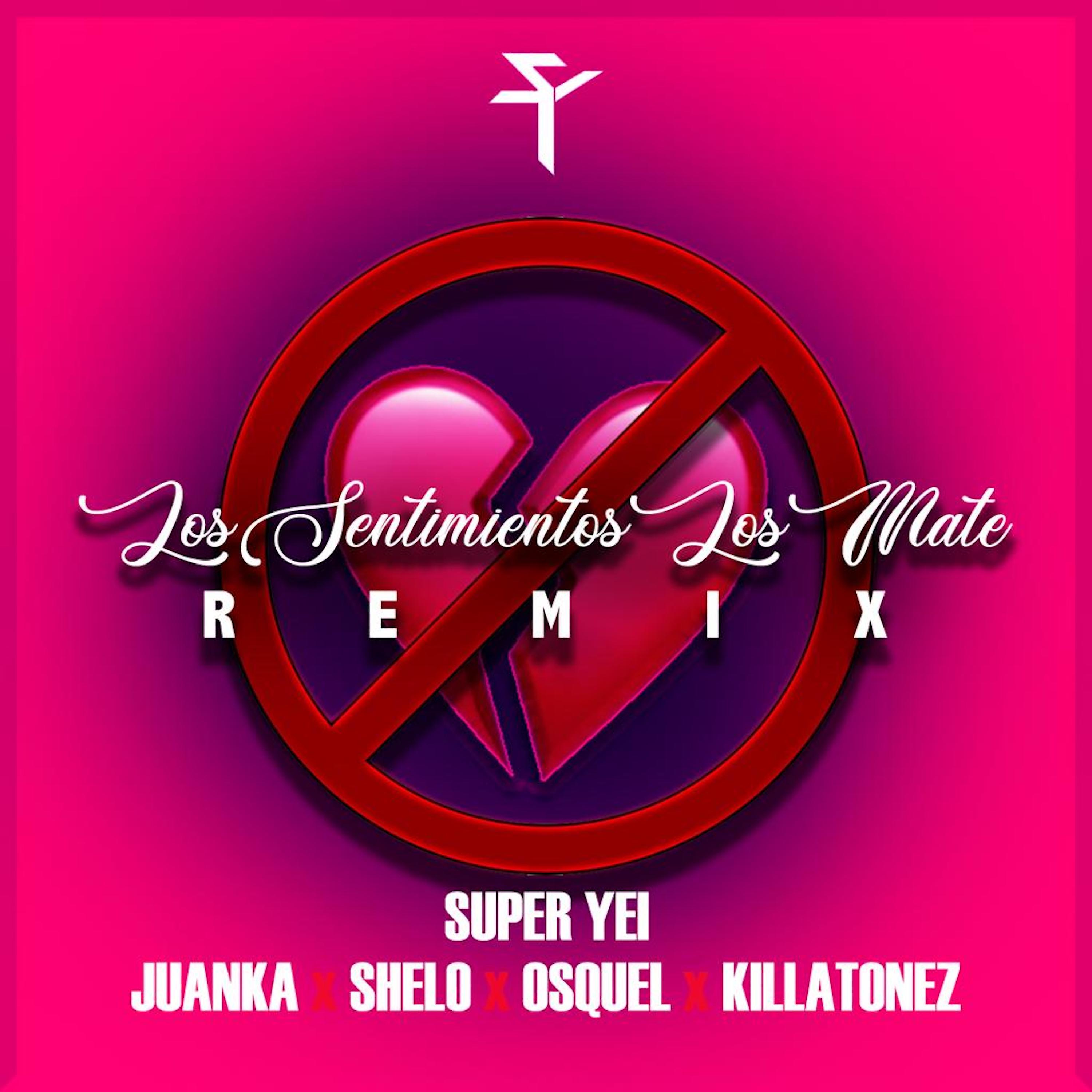 Постер альбома Los Sentimientos los Mate (Remix)