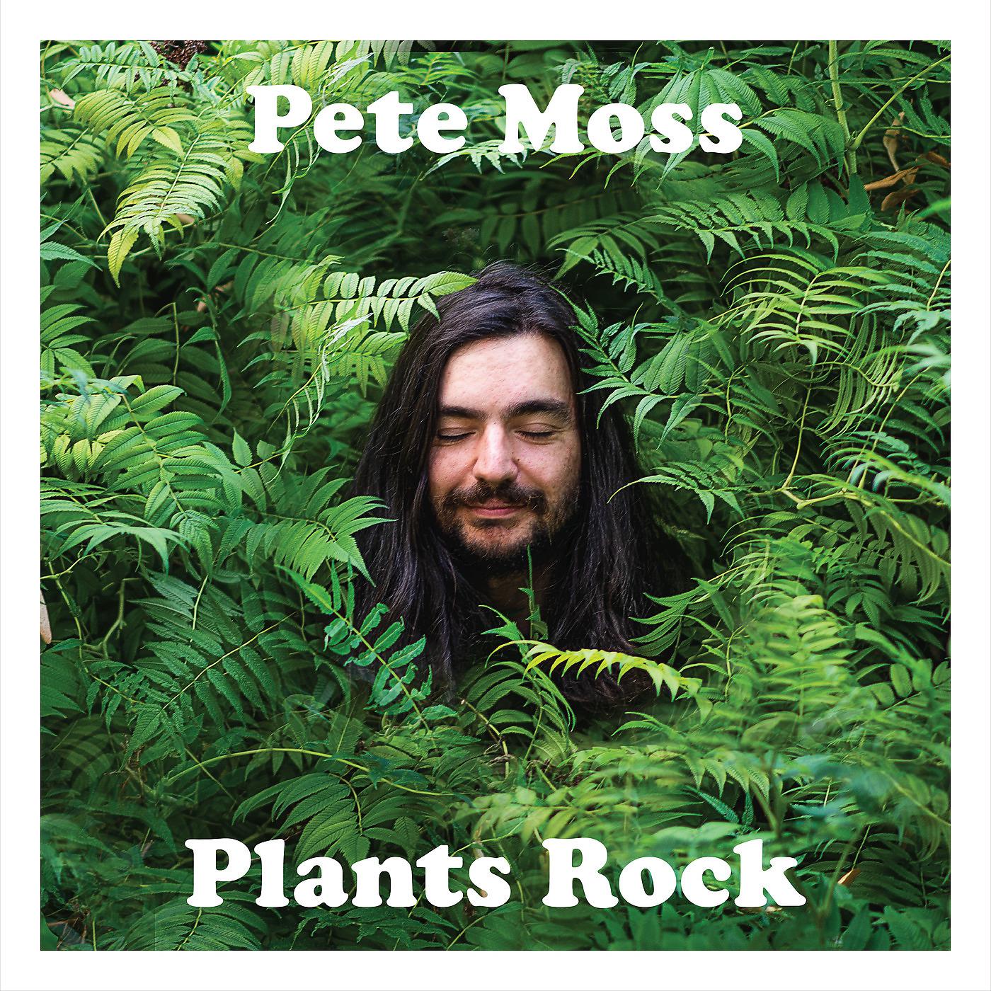 Постер альбома Plants Rock