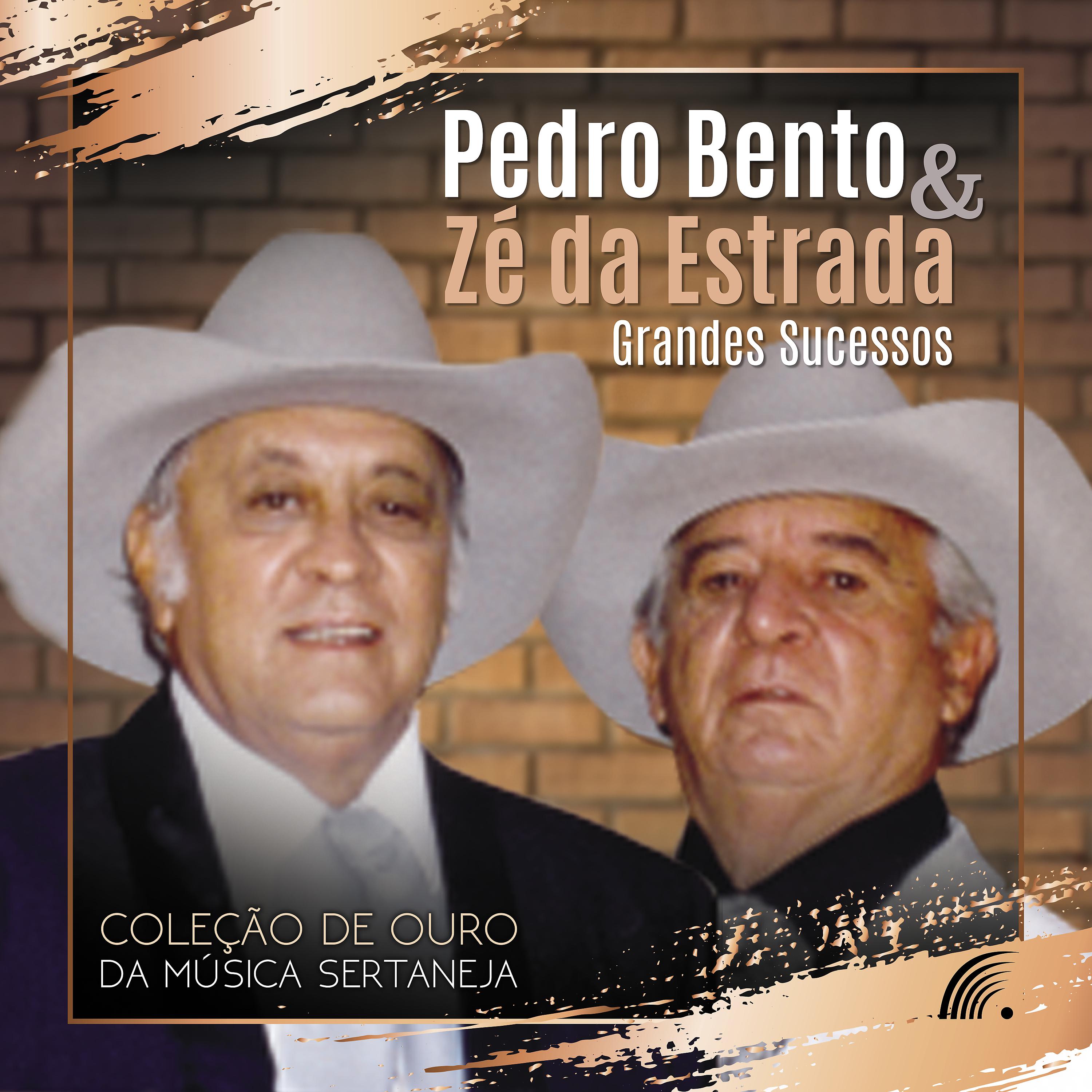 Постер альбома Grandes Sucessos - Coleção de Ouro da Música Sertaneja