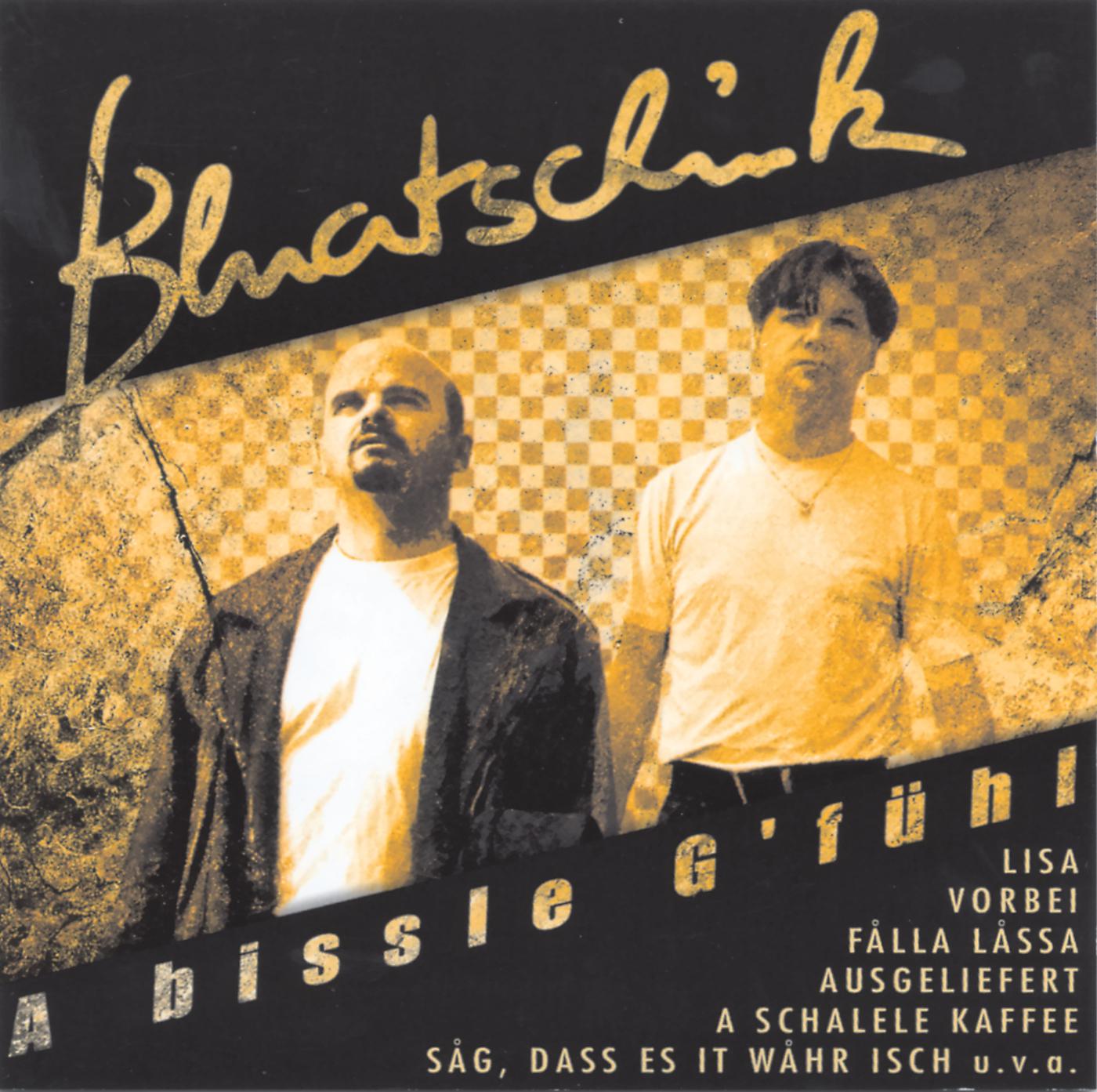 Постер альбома A bissel G'fühl