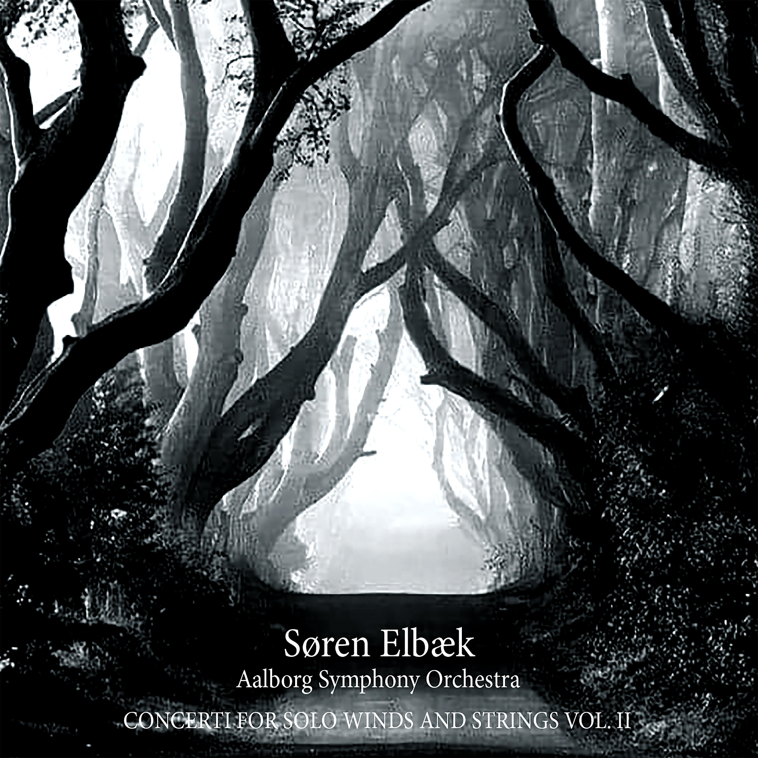 Claus Ettrup Larsen - Concerto for Woodwind Quintet and Strings: II. Scherzo molto Brilliante
