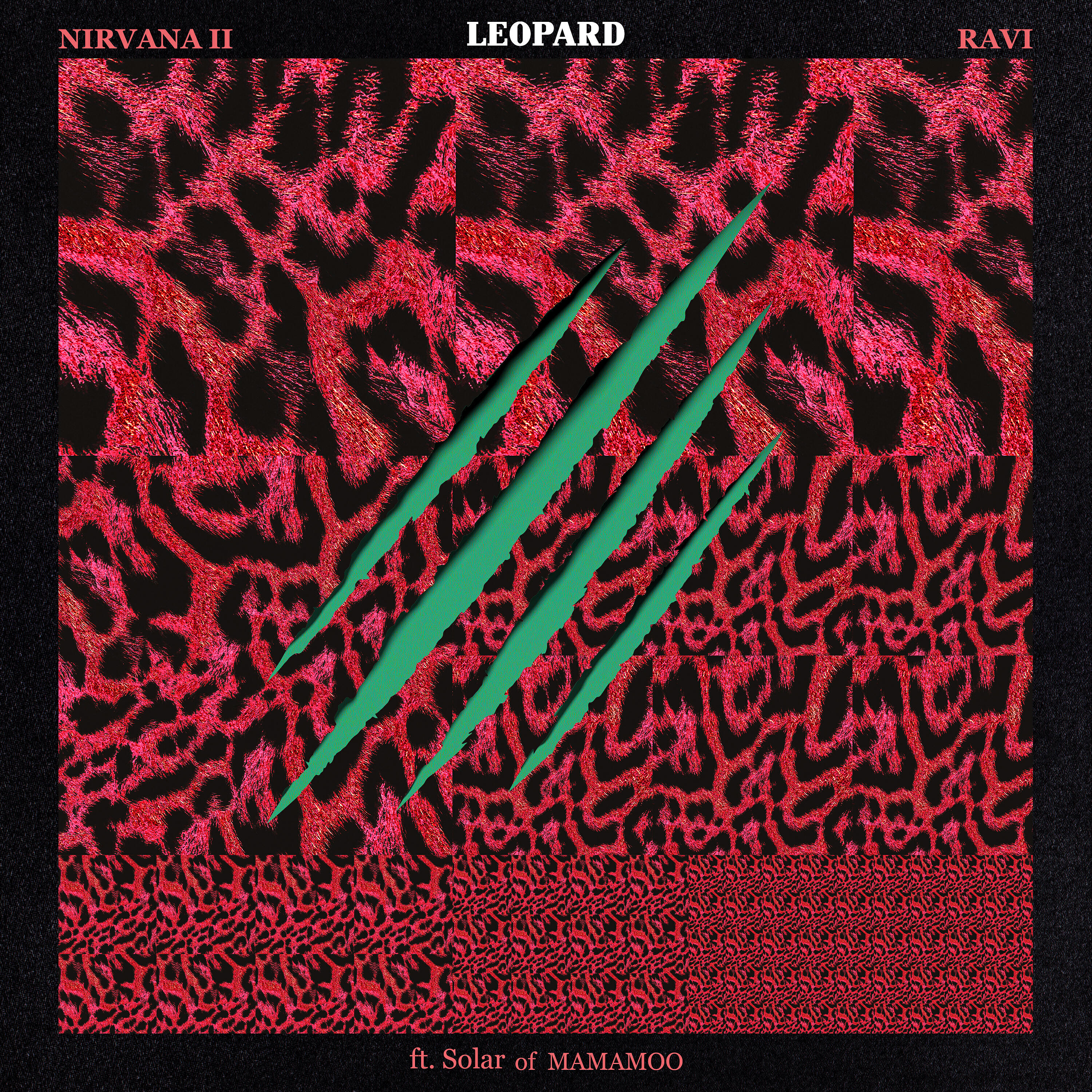 SOLAR - LEOPARD