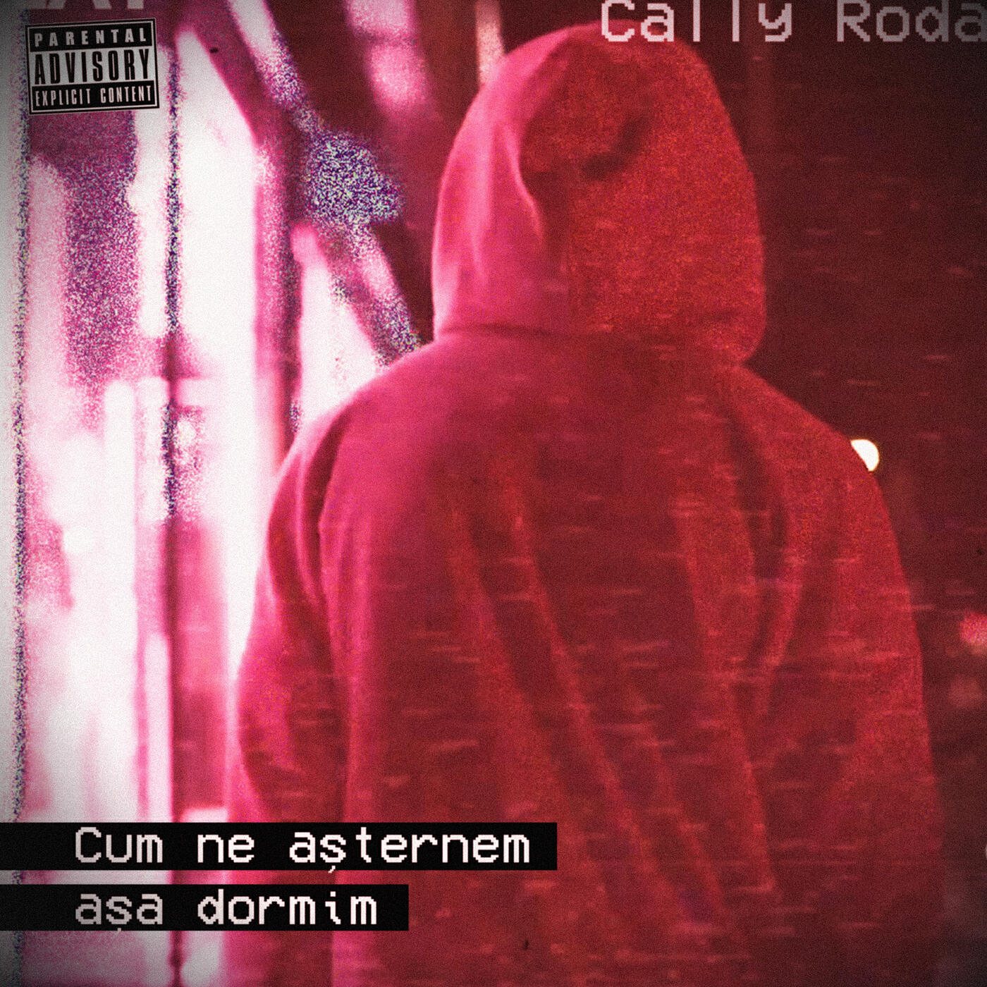 Cally Roda - Cum Ne Asternem Asa Dormim