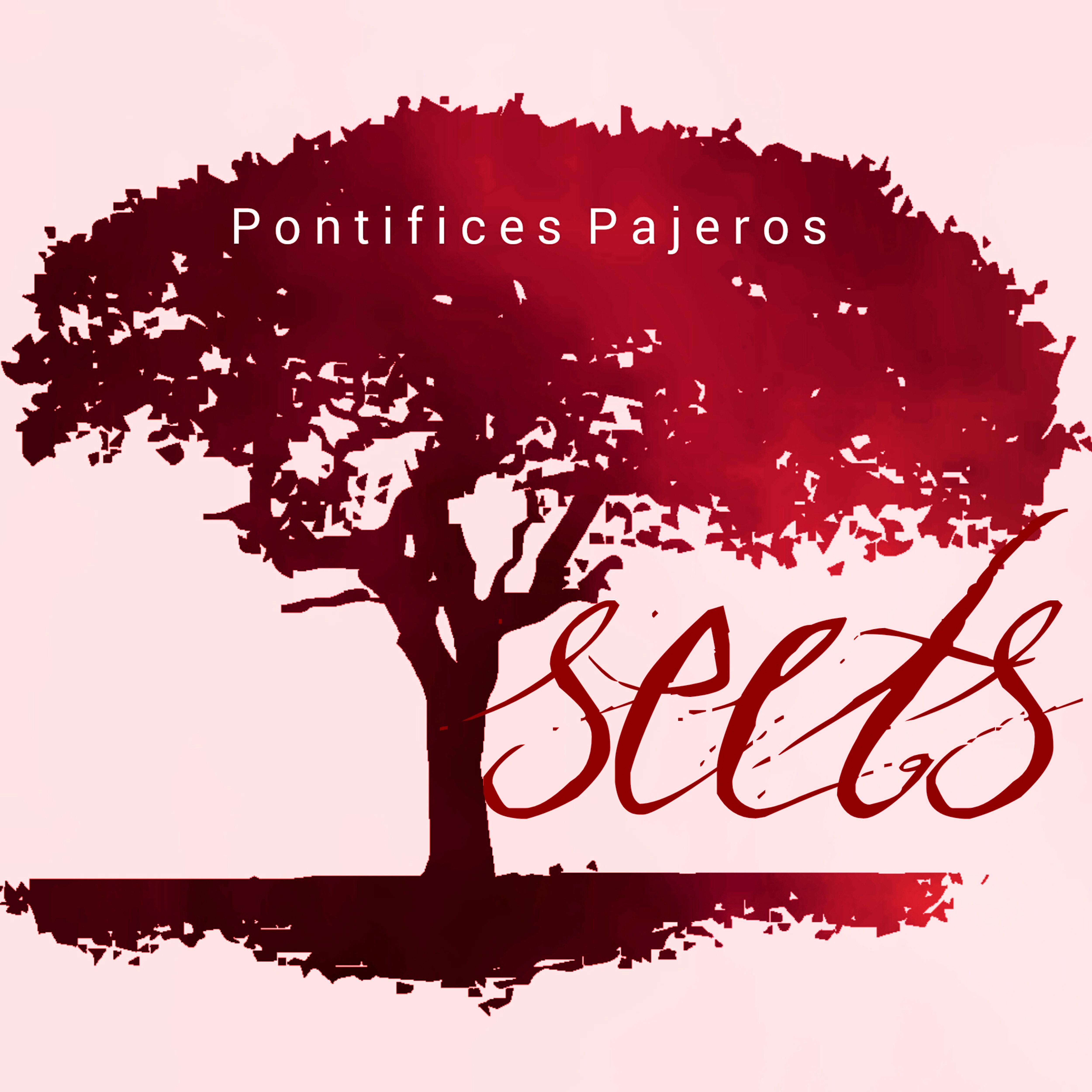 Pontifices Pajeros - Disruption