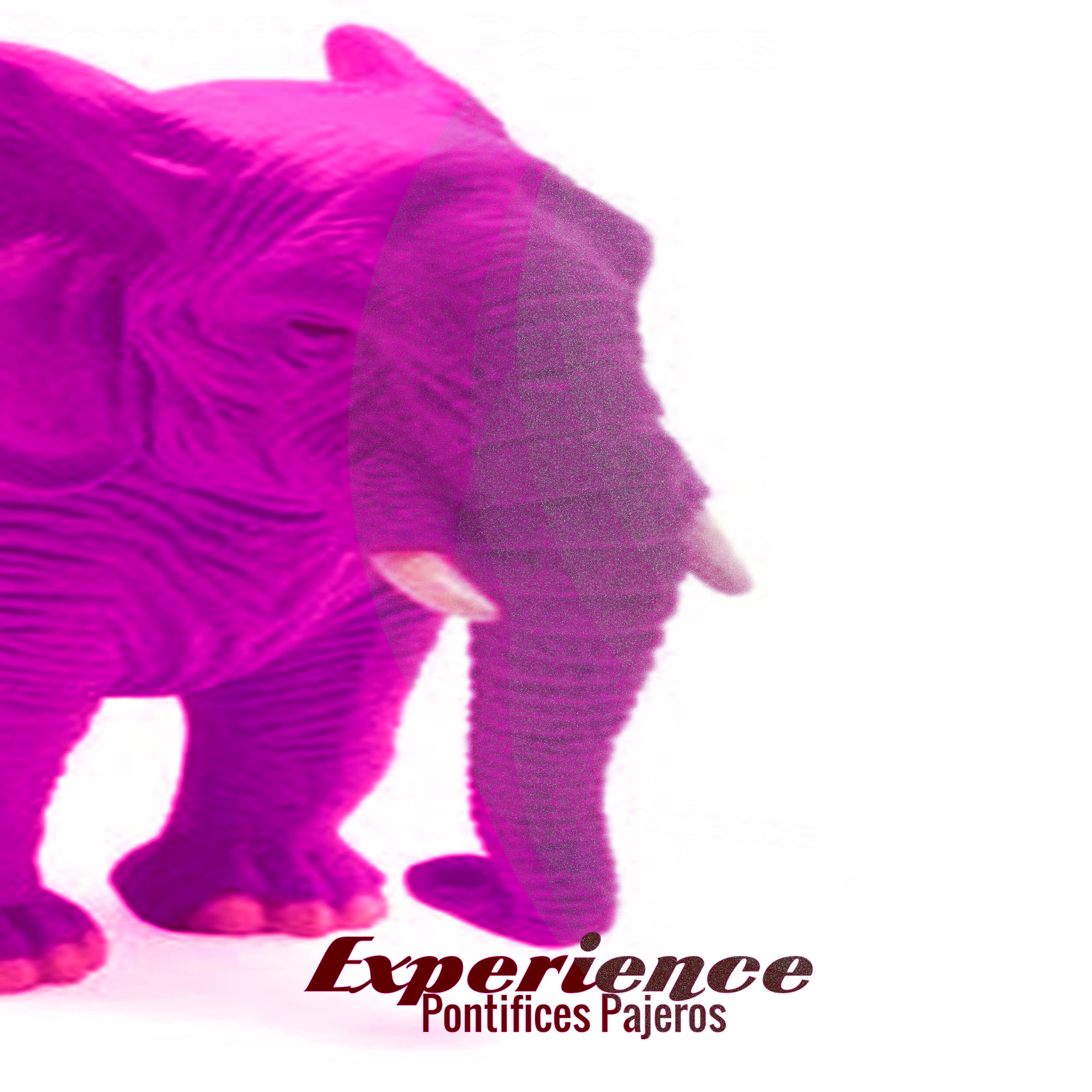 Pontifices Pajeros - Experience #1 (Sects)