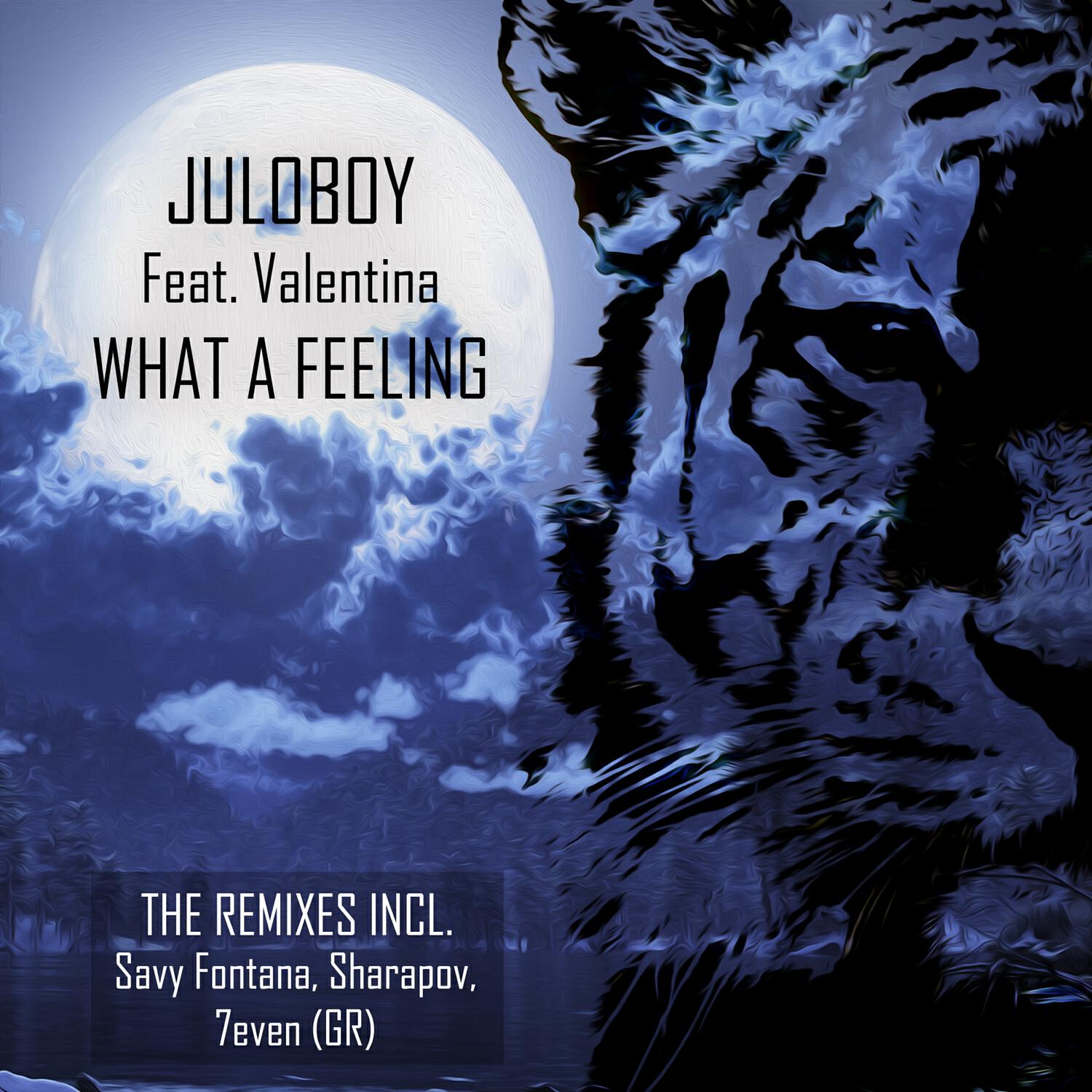 Juloboy - What a Feeling (Original Mix)