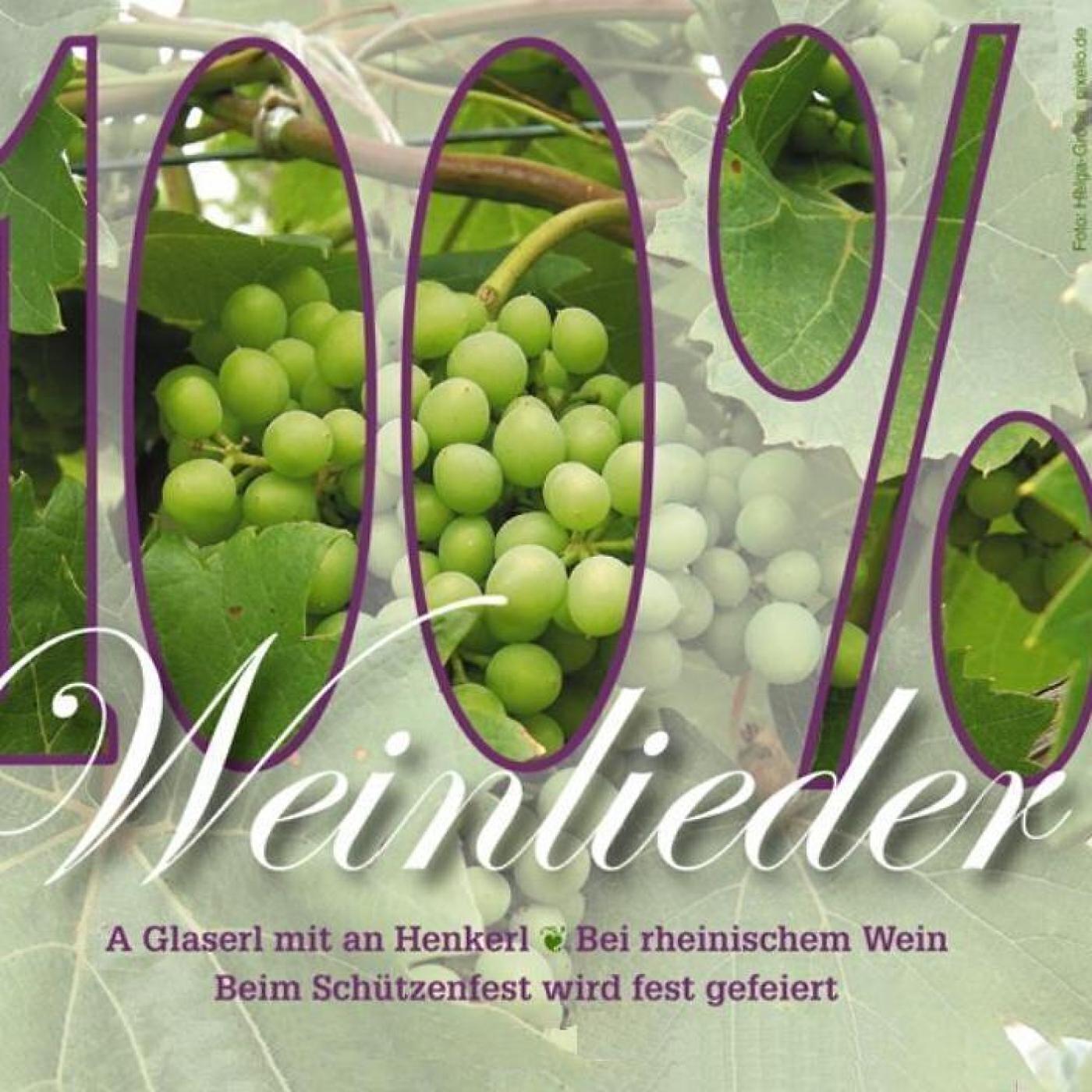 Mühlenhof Musikanten - Dann trinkt der Papa ein Gläschen Wein