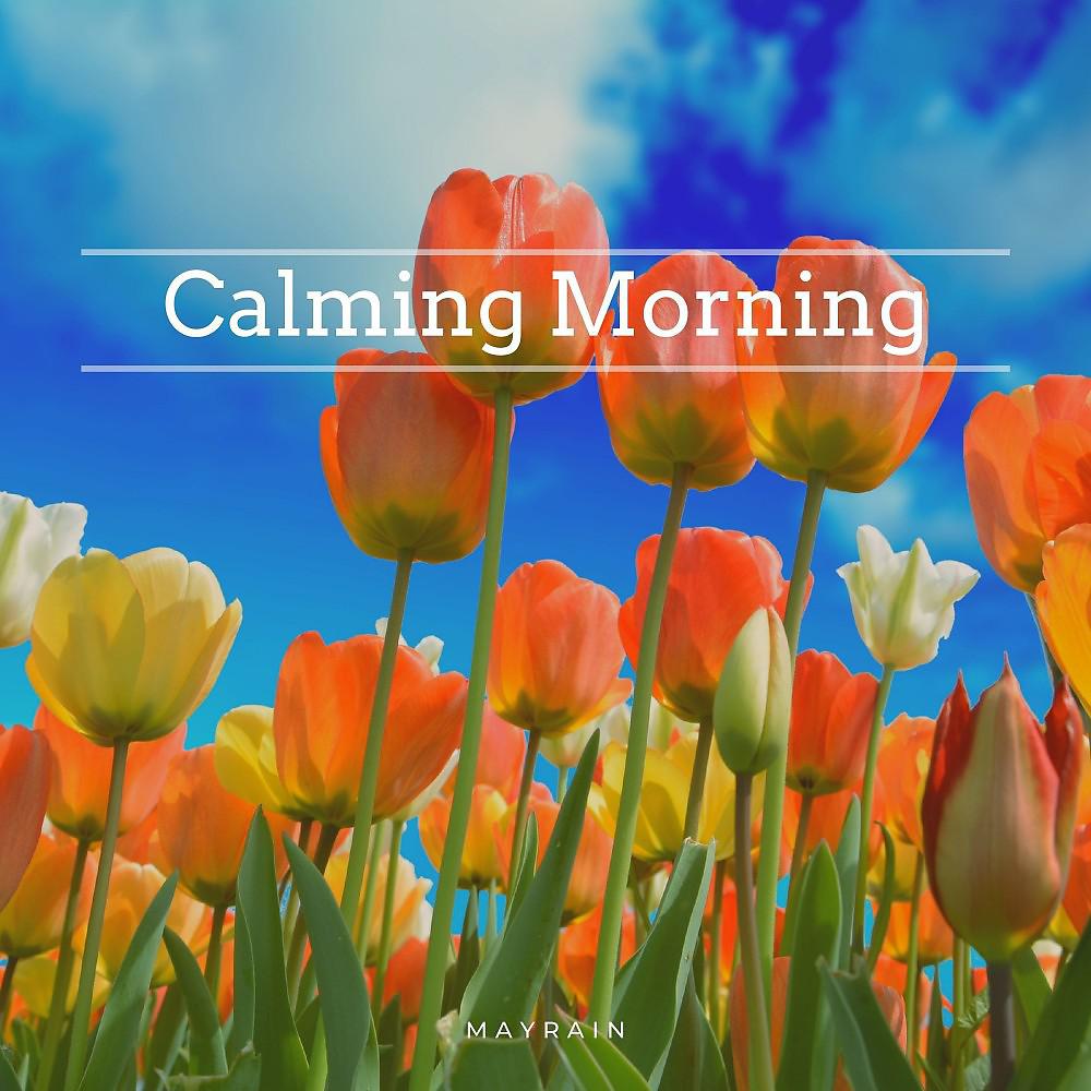 Постер альбома Calming Morning