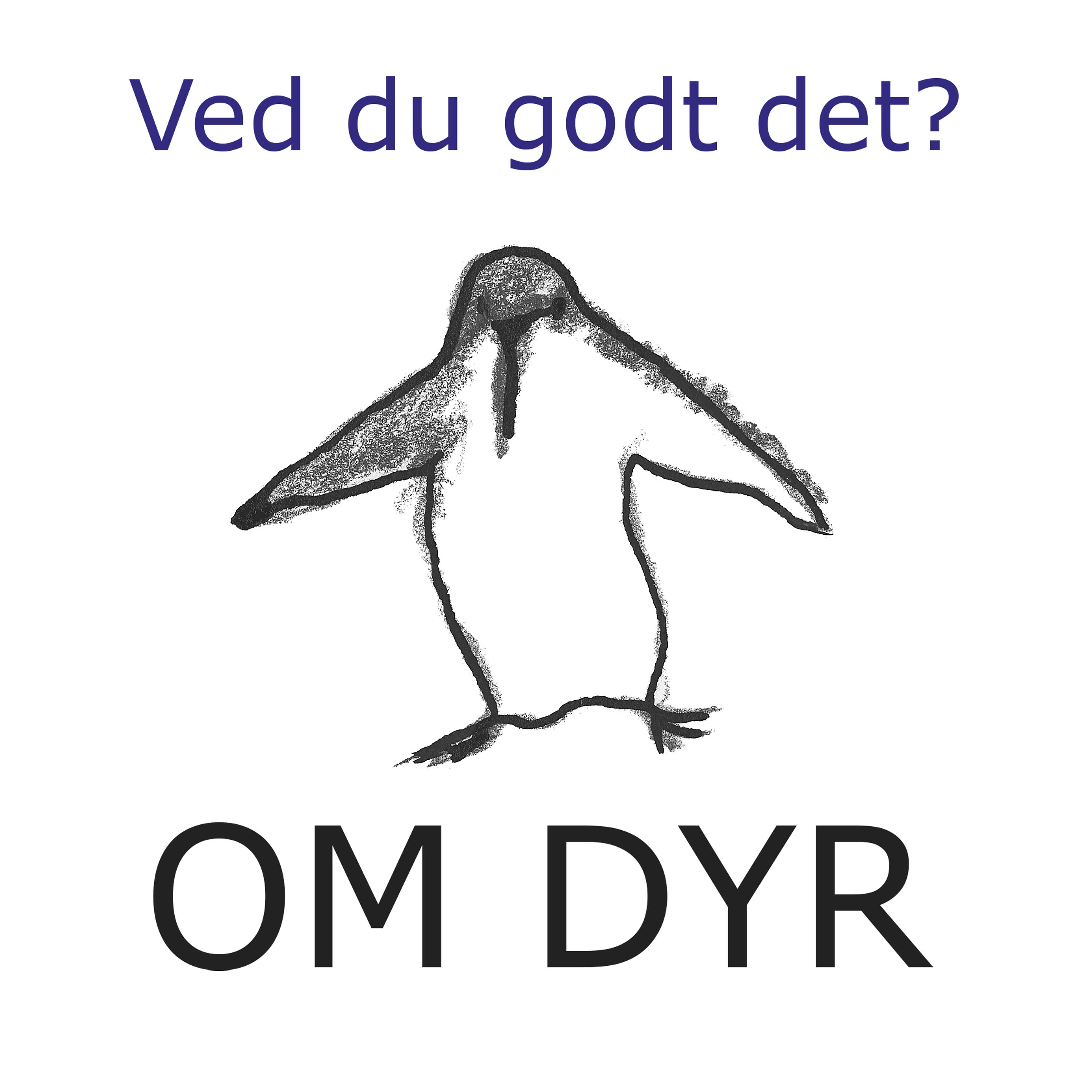 Постер альбома Ved du godt det om dyr?