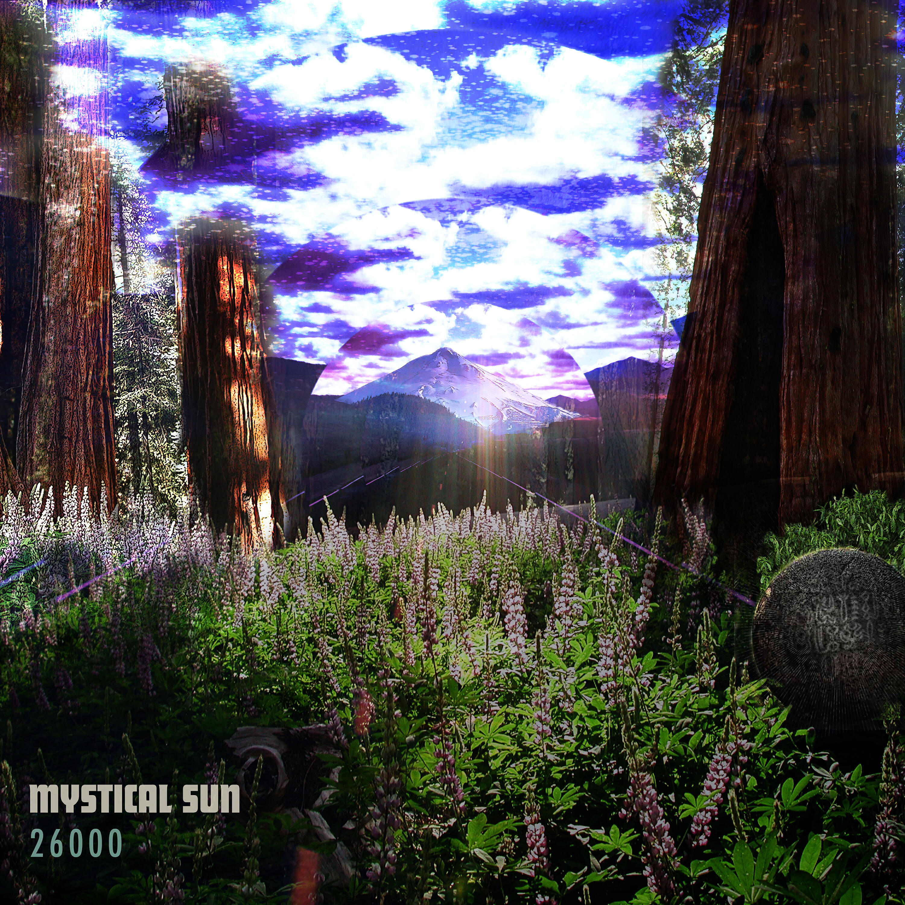 Mystical Sun - Canopy