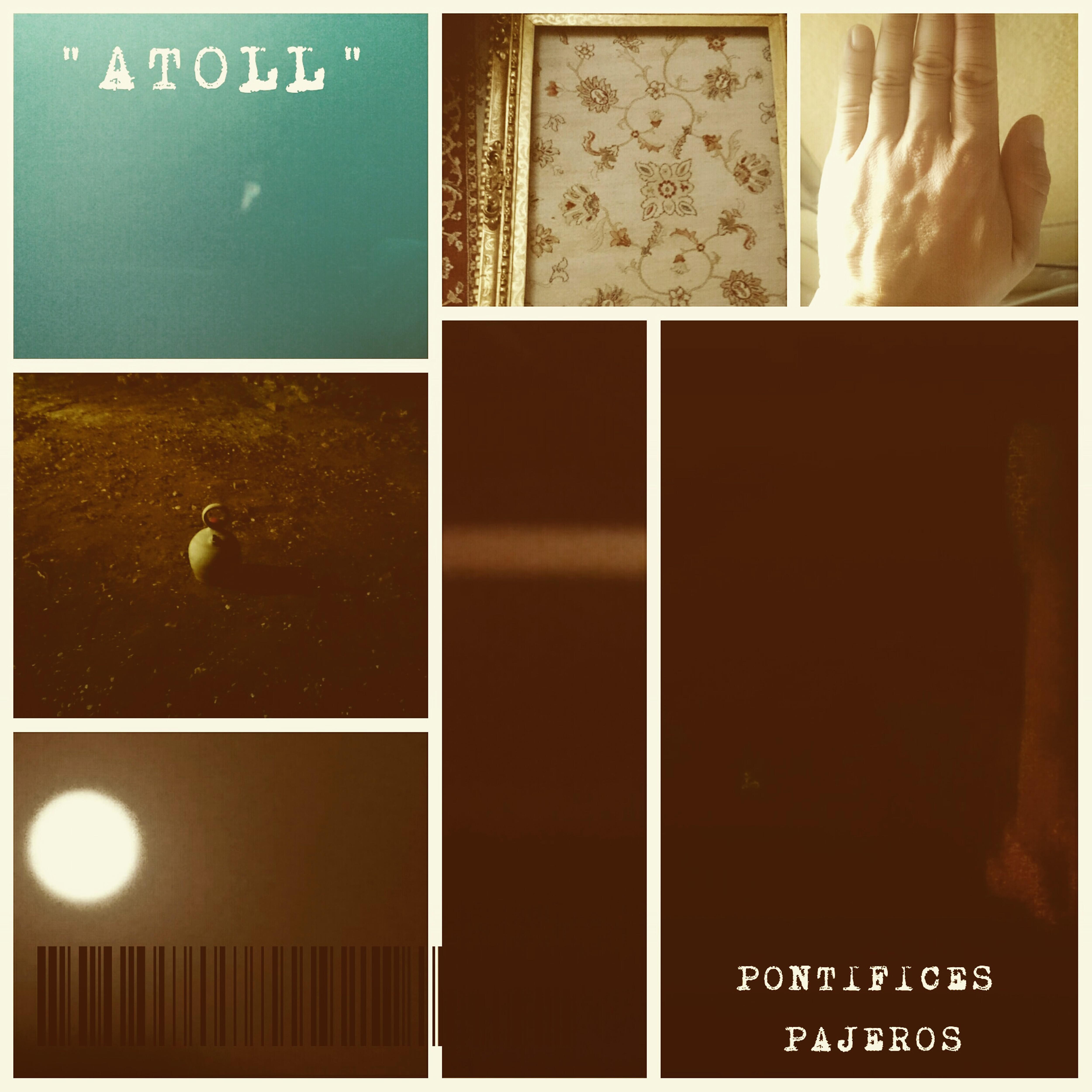 Pontifices Pajeros - Pointless