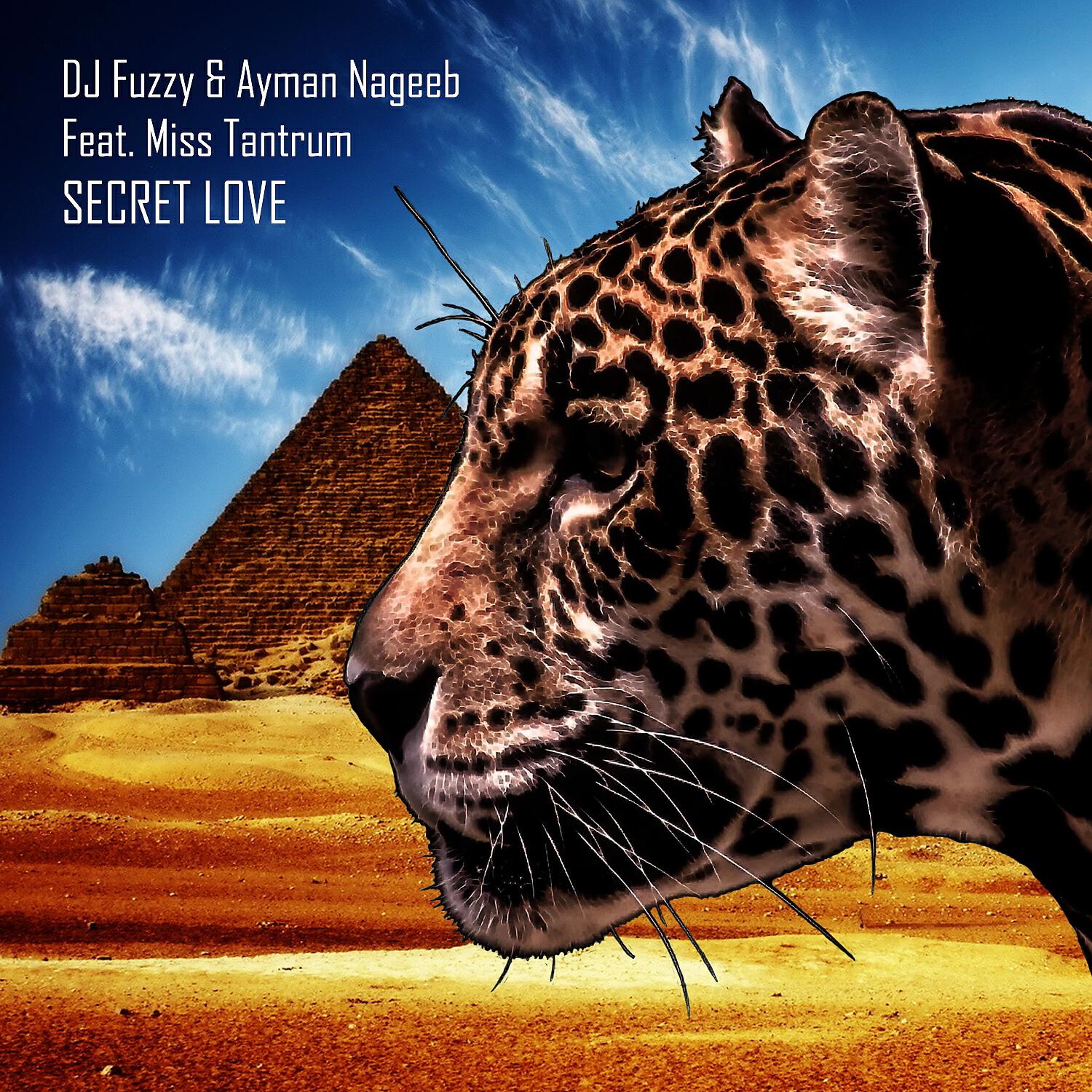 DJ Fuzzy - Secret Love (Juloboy Remix)