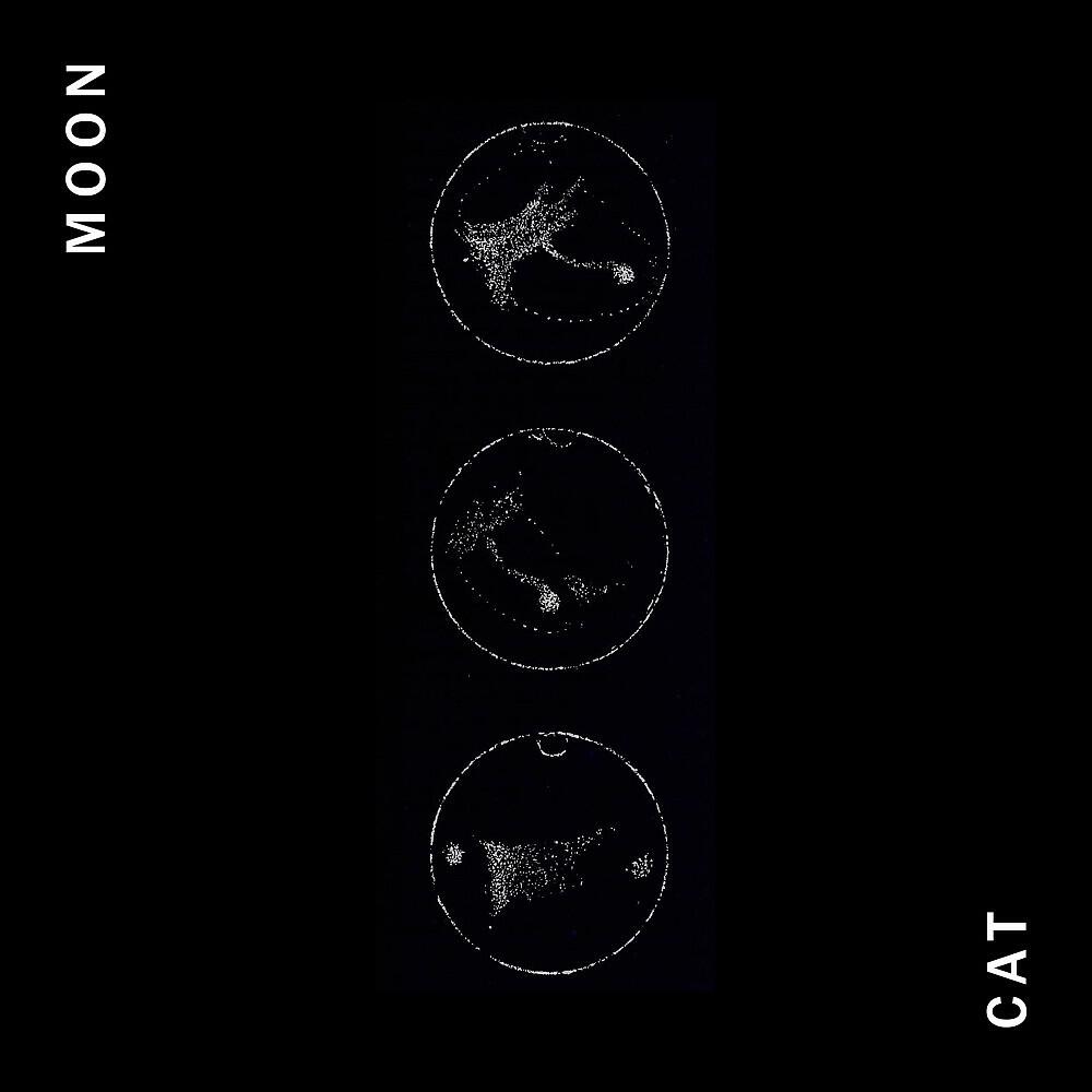 MOONCAT - HLM