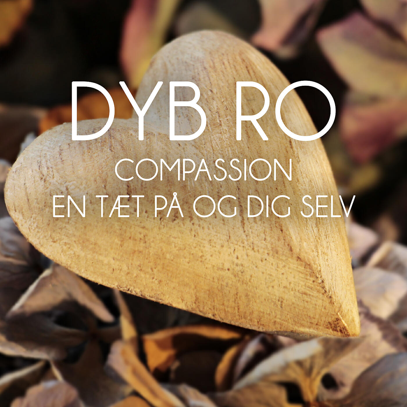 Dyb Ro - Compassion 1 selv slut - del 3 (Meditation)