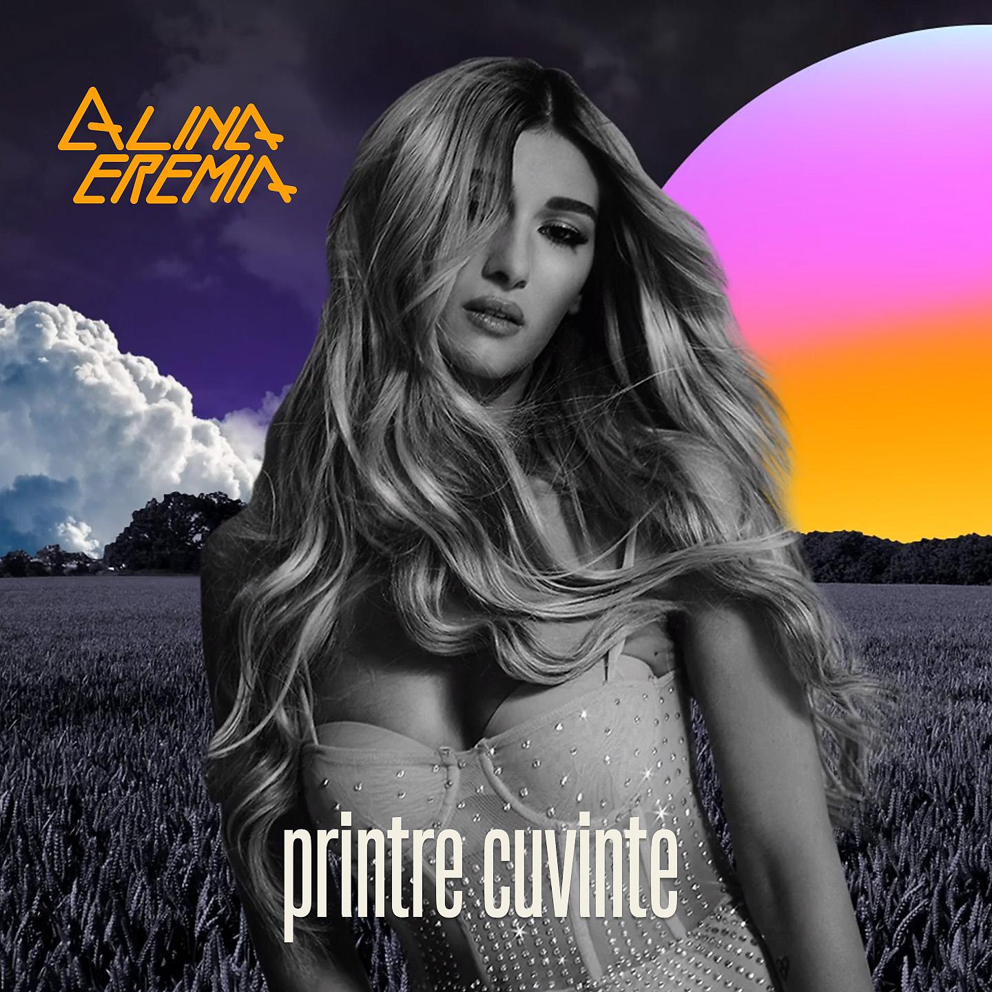 Постер альбома Printre Cuvinte