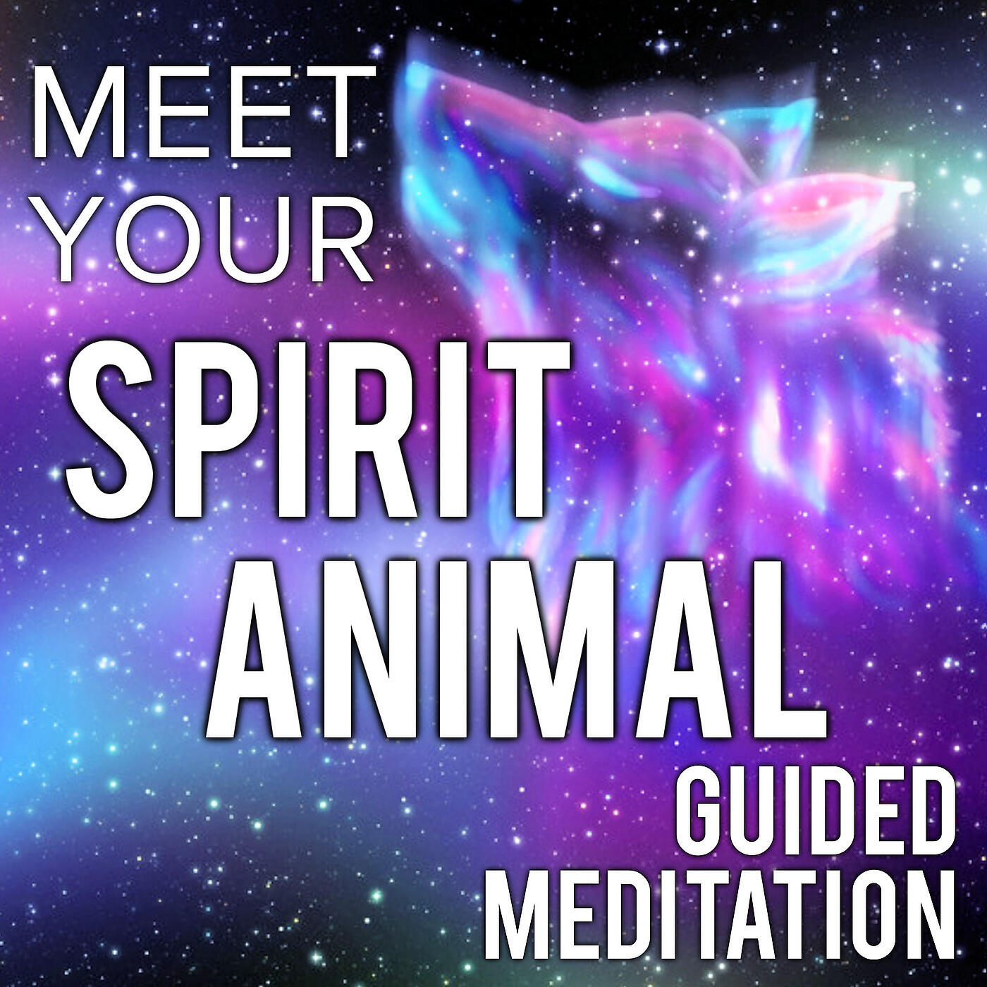 Nicky Sutton - Meet Your Spirit Animal Guided Meditation