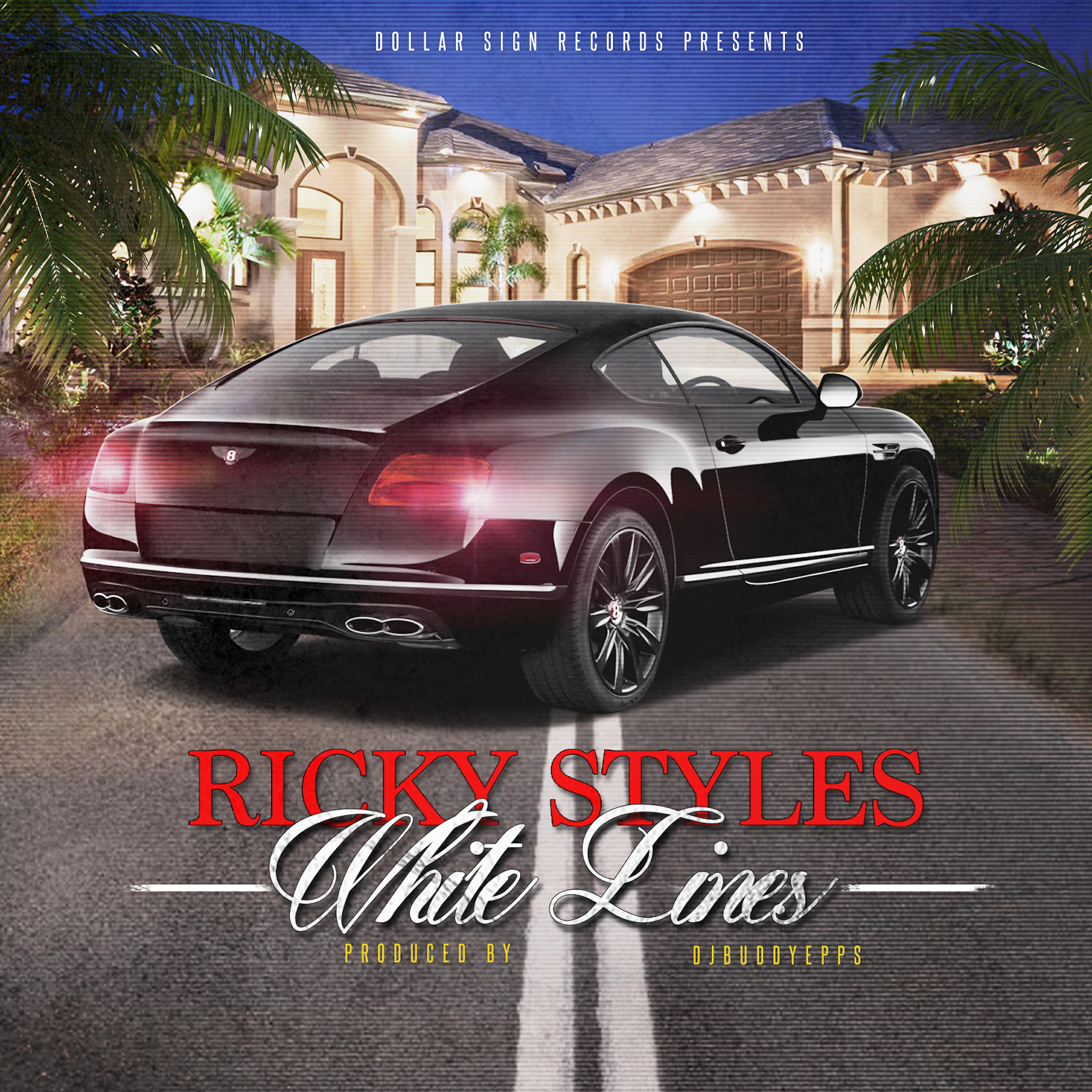 Ricky Styles - Chicken