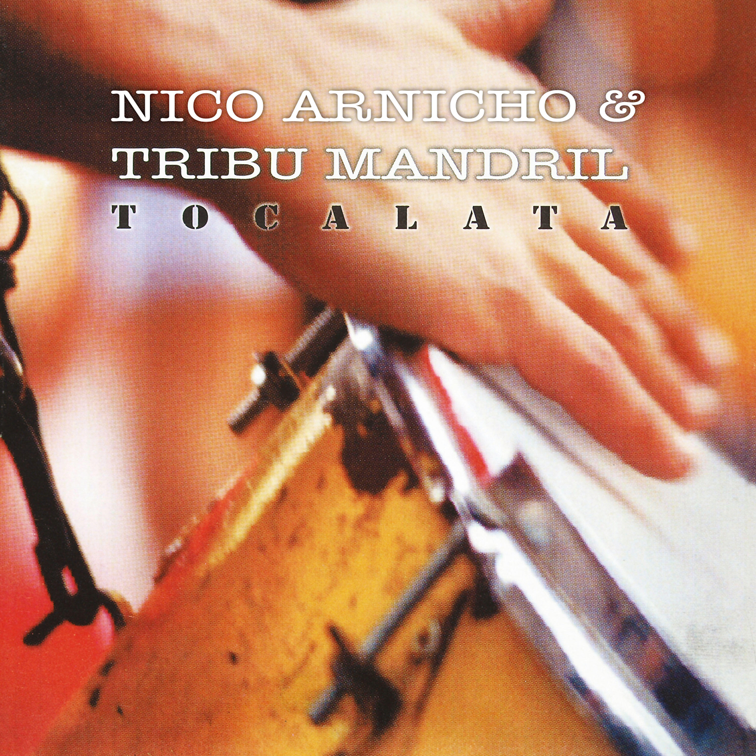 Tribu Mandril - Intro Soy un Mandril