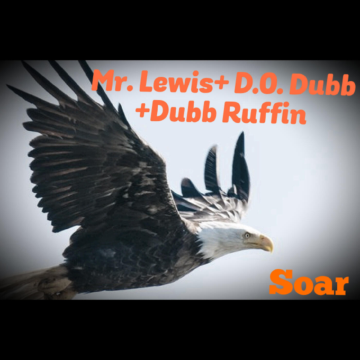Mr.Lewis - Soar