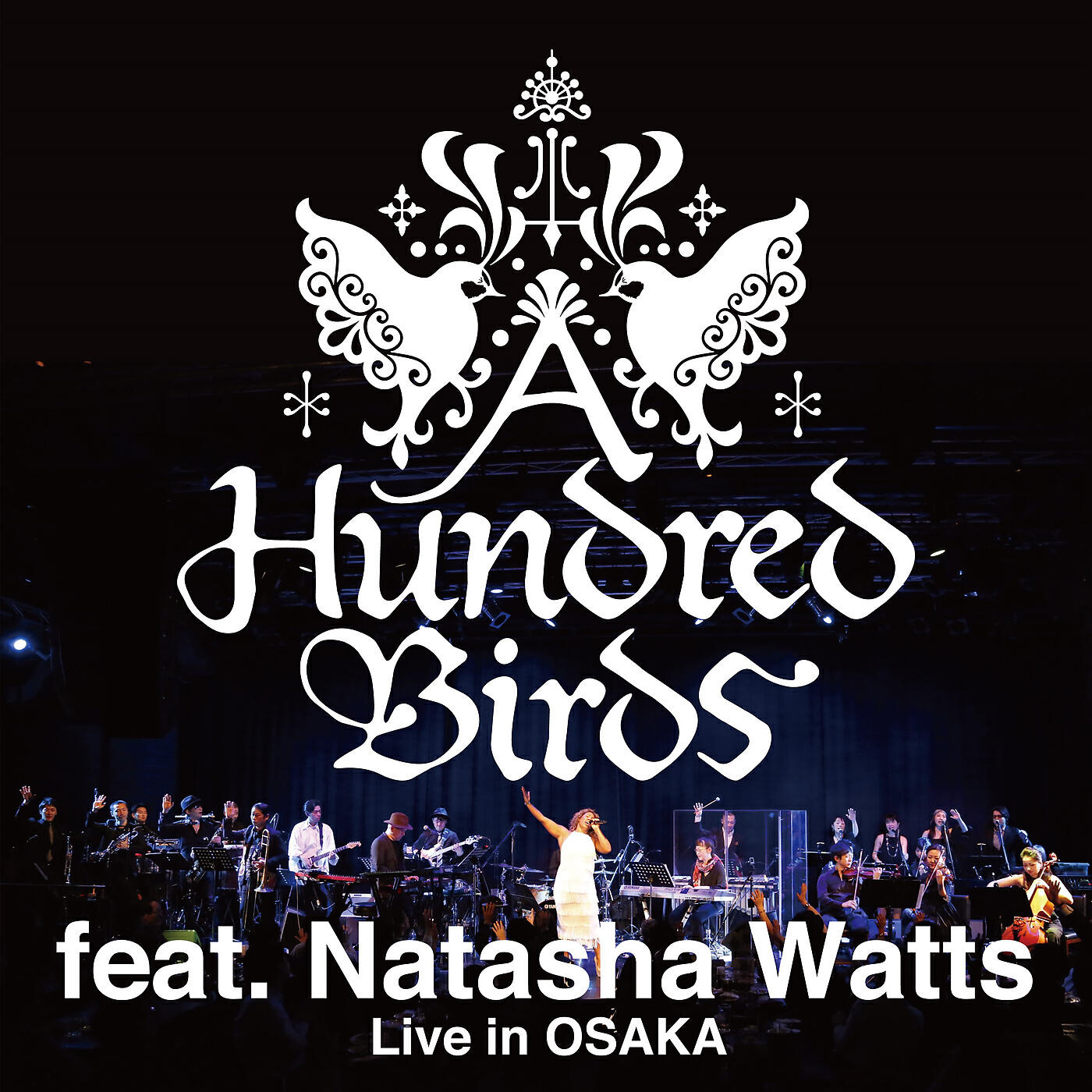 A Hundred Birds - Special Day (Live)