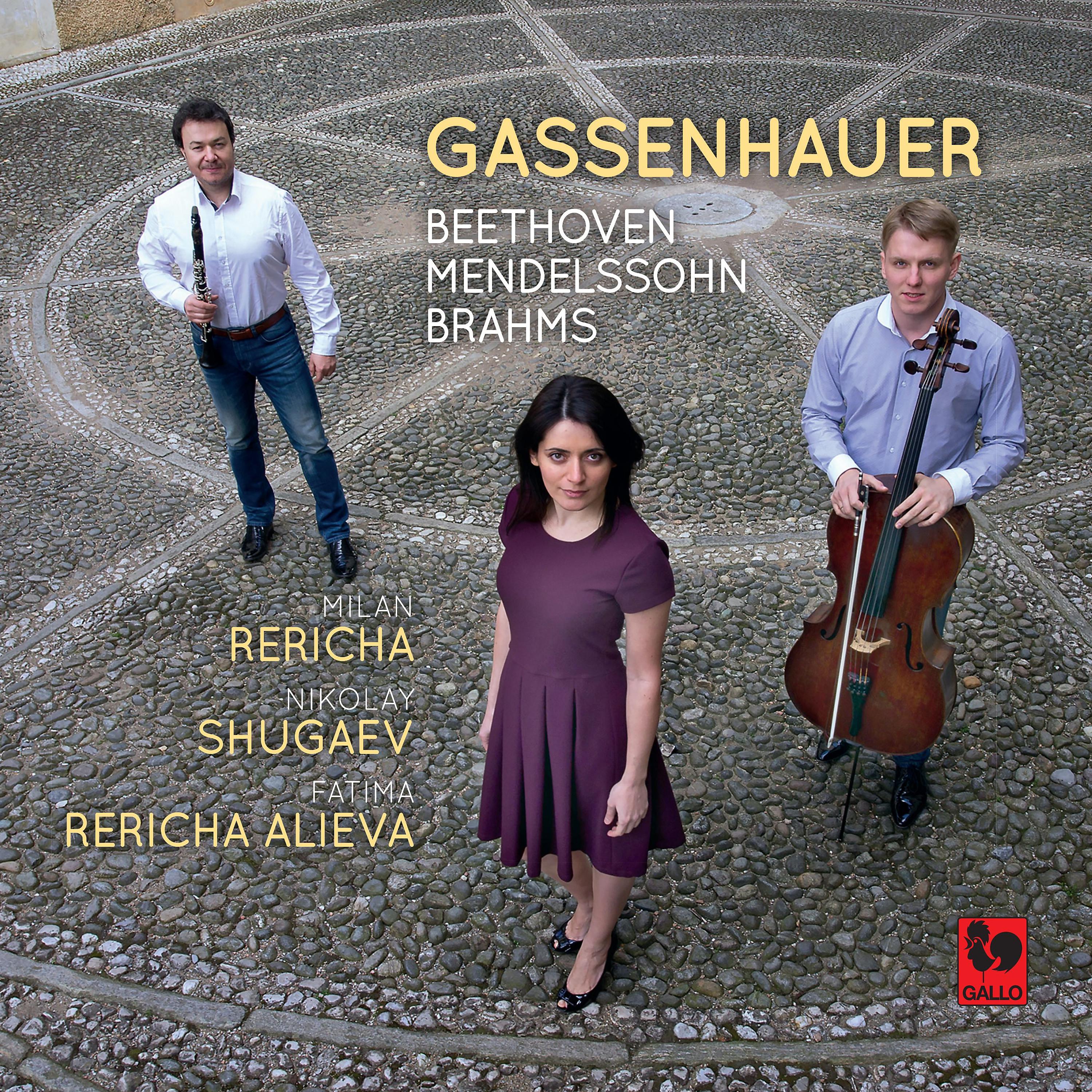 Постер альбома Gassenhauer: Brahms - Beethoven - Mendelssohn