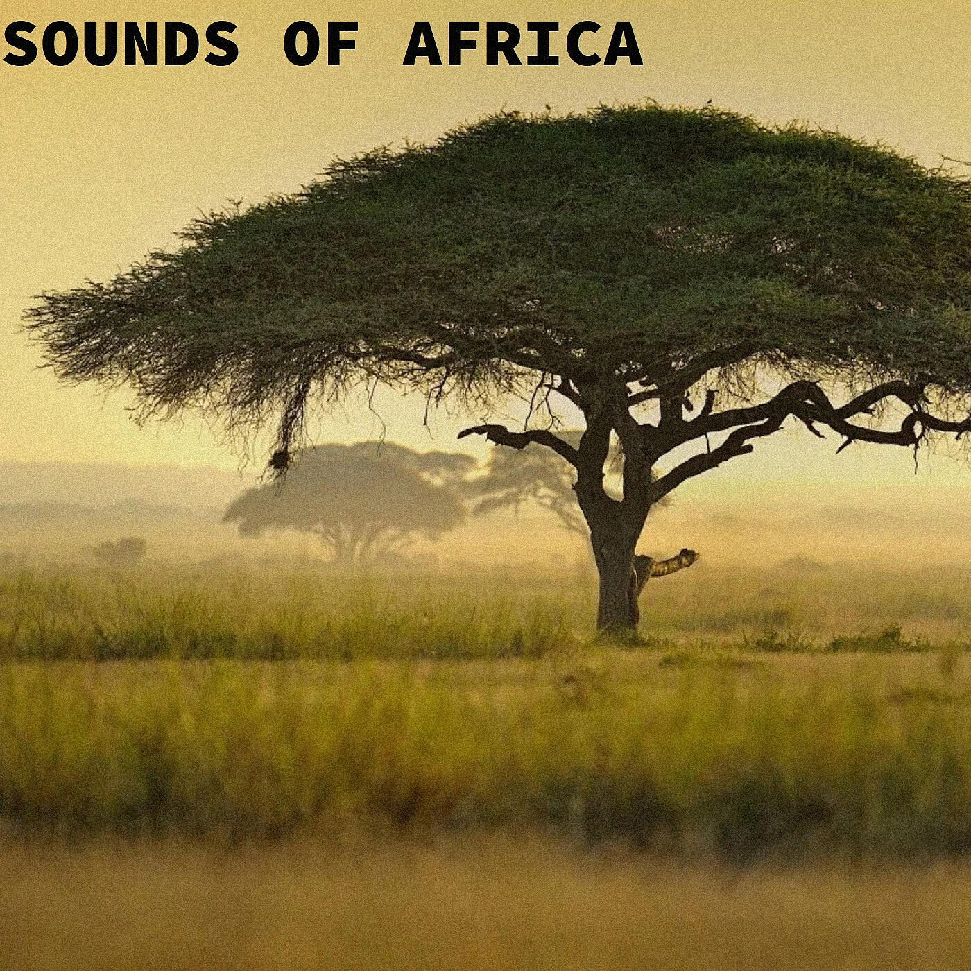 Ivano Greppi - Tequila Amara (Instrumental)