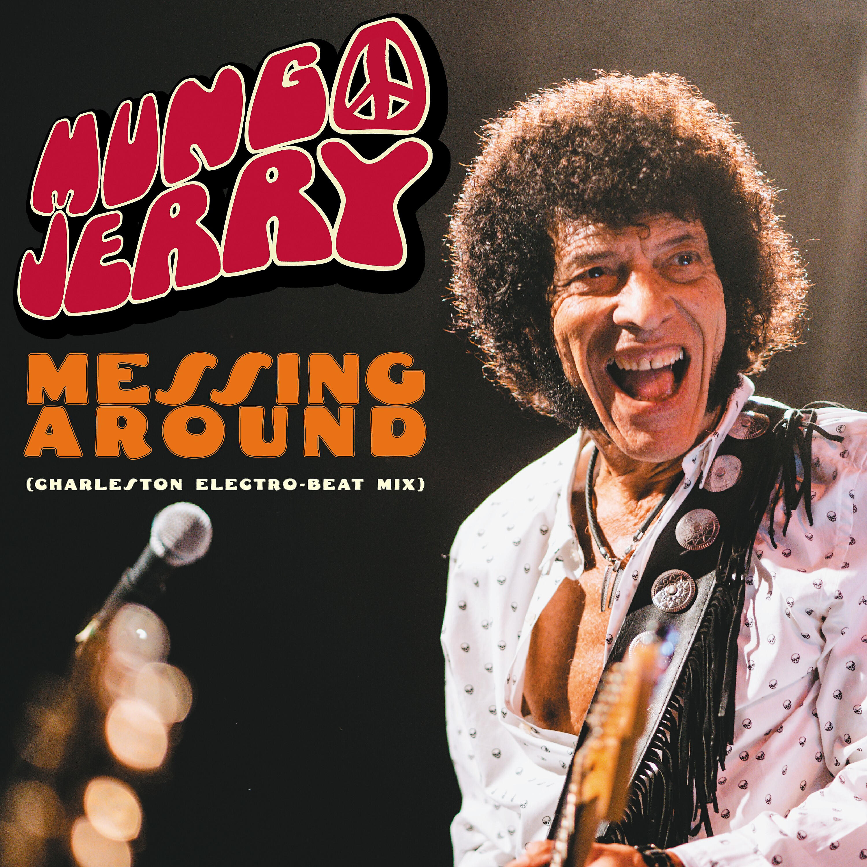 MUNGO JERRY - Messing Around (Charleston Electro-Beat Mix)