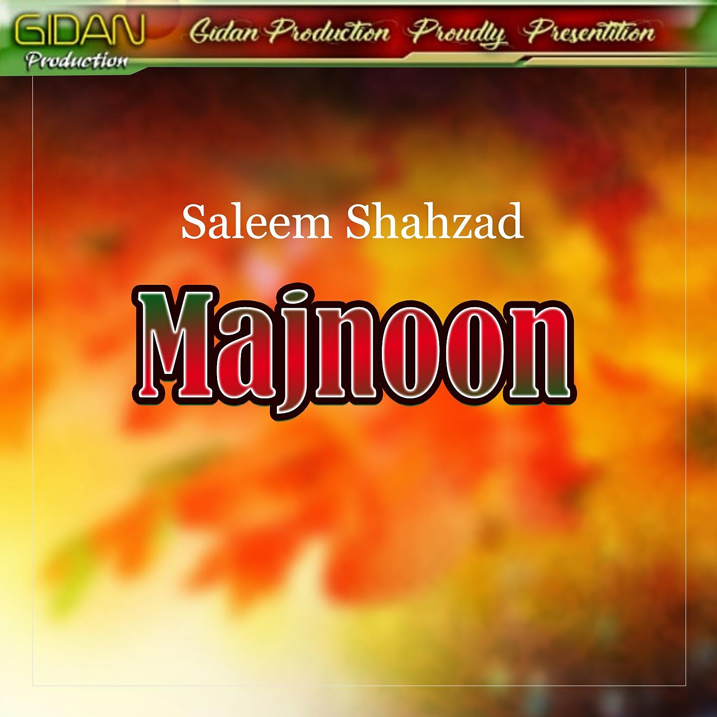 Saleem Shahzad - Leila Laila Aeno