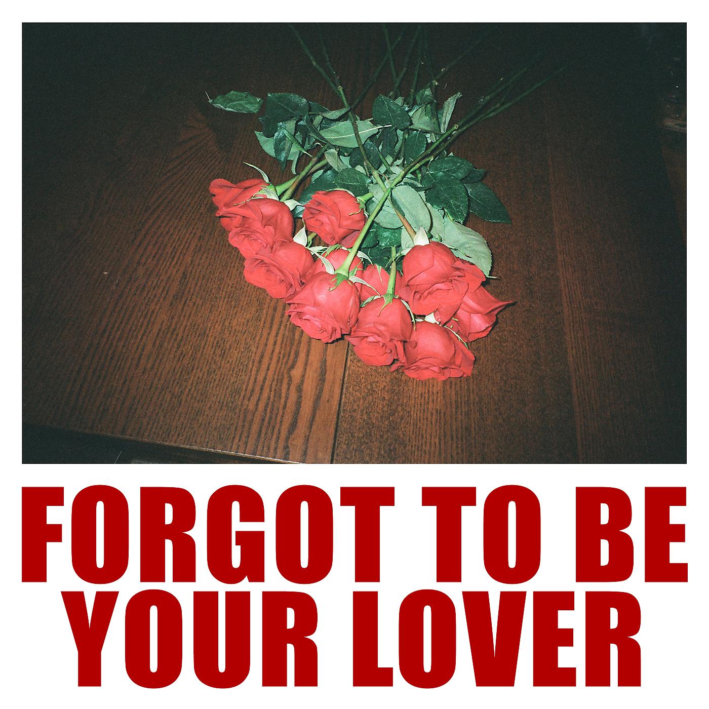 Постер альбома Forgot To Be Your Lover