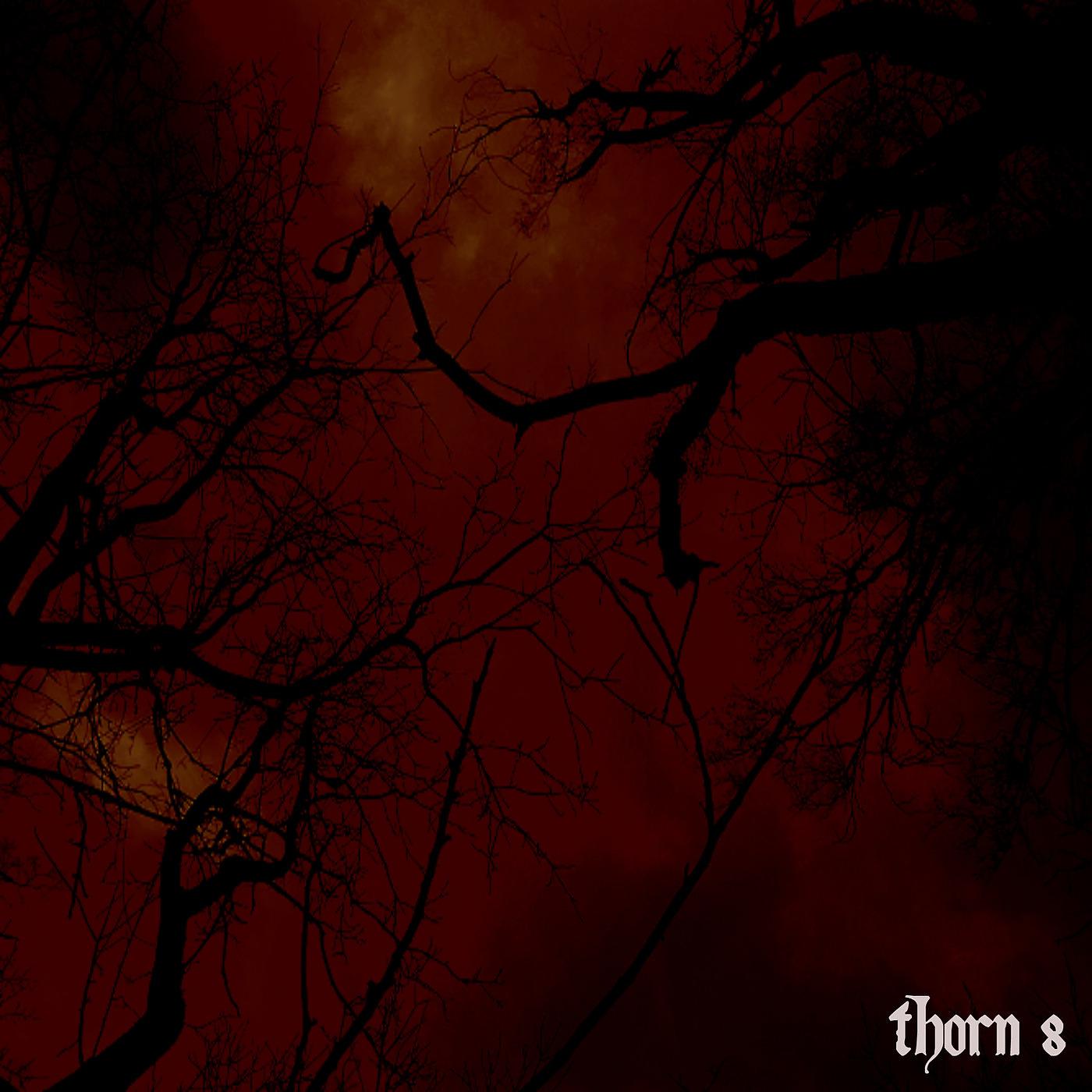 Постер альбома Thorn 8