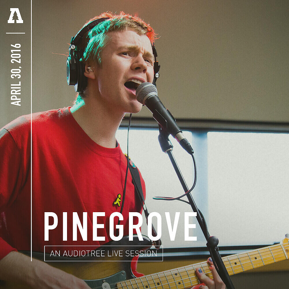 Pinegrove - Cadmium (Audiotree Live Version)