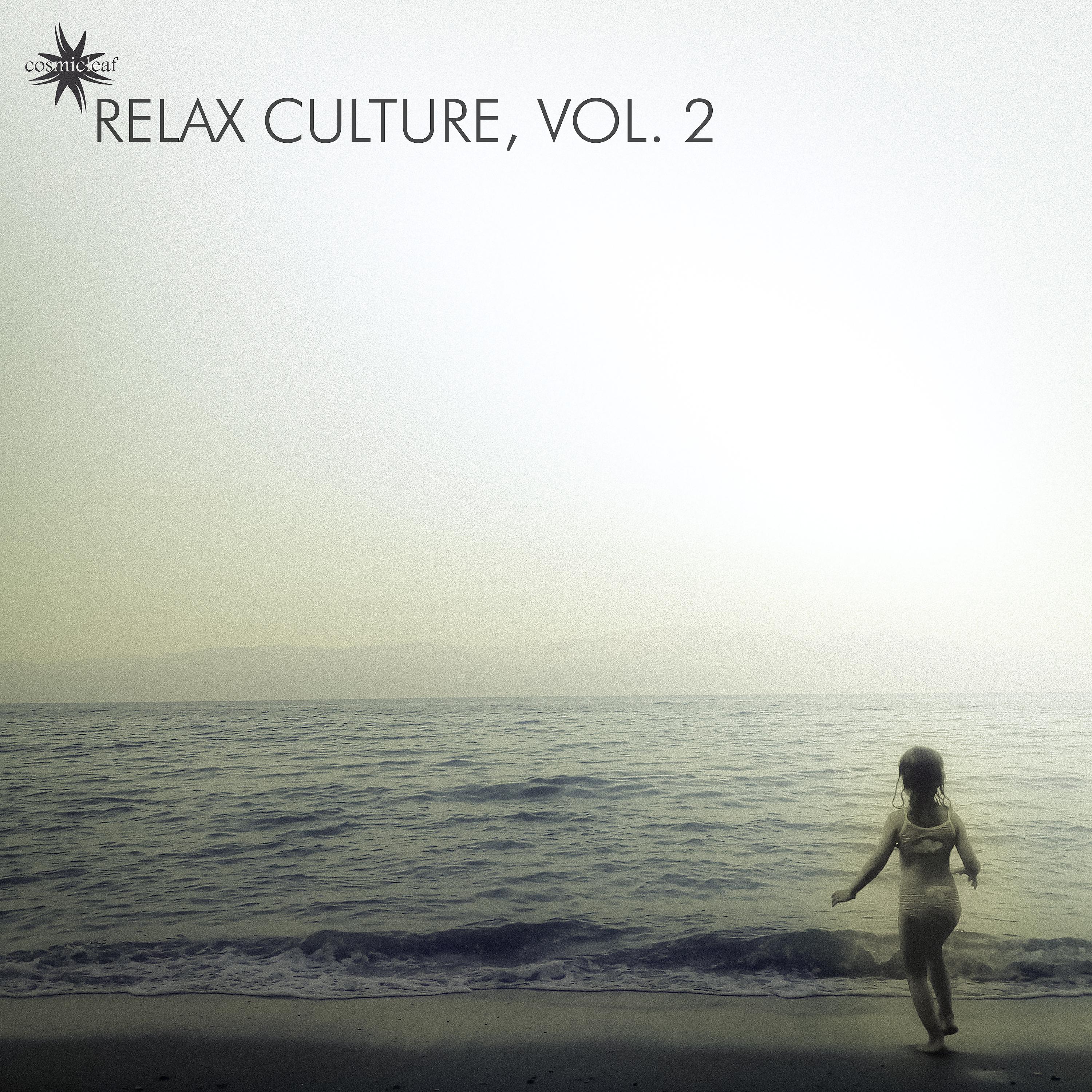 Постер альбома Relax Culture, Vol. 2